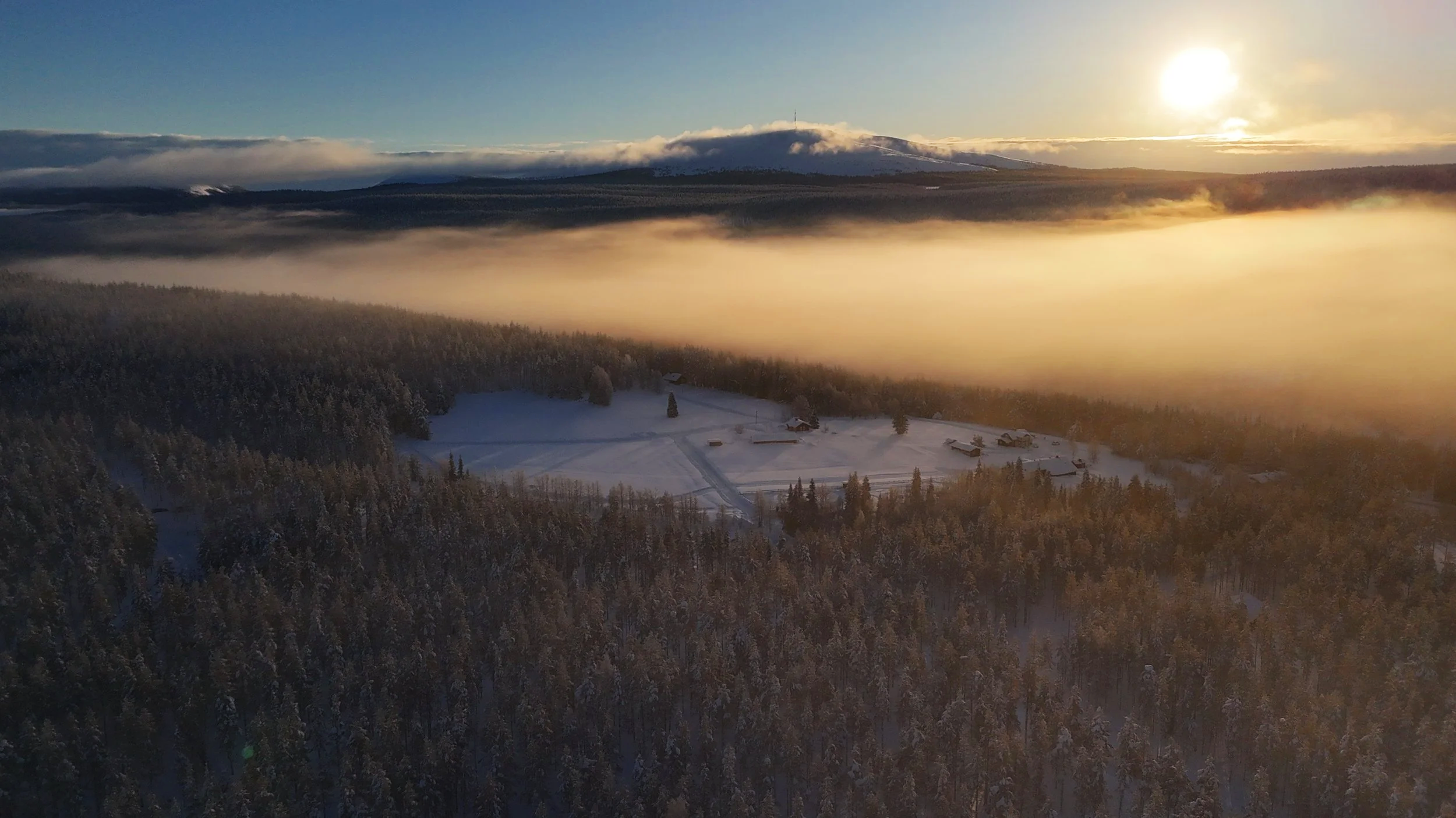 DJI_20260305072728_0221_D.png