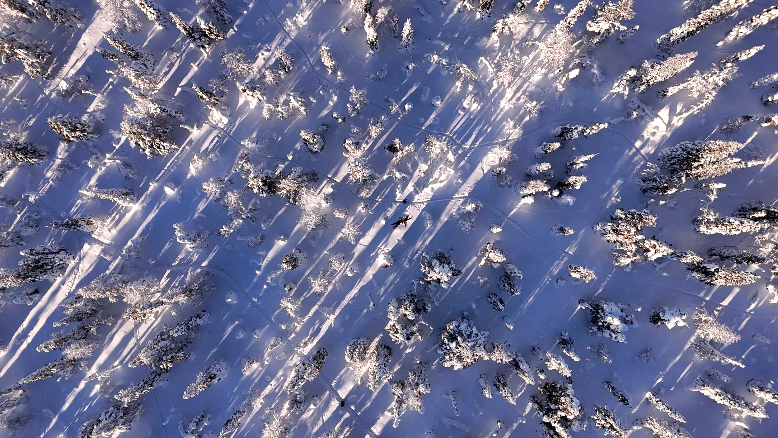 DJI_20260302140946_0487_D.png