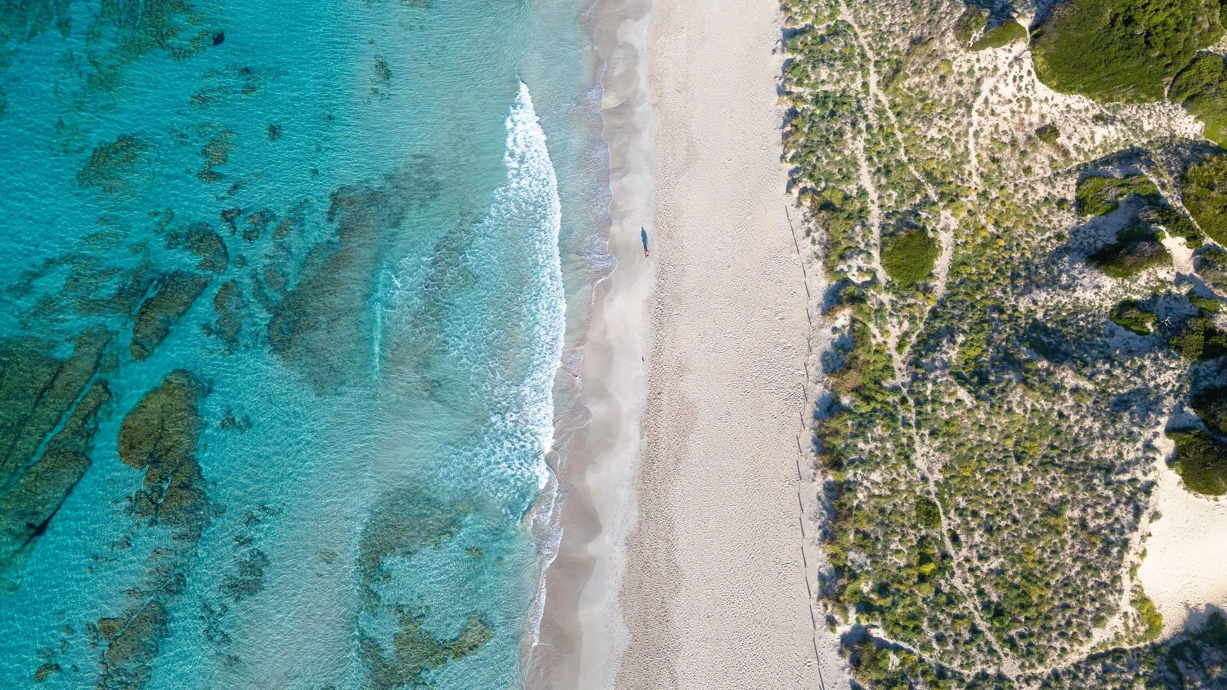 DJI_20260320084911_0267_D.jpg