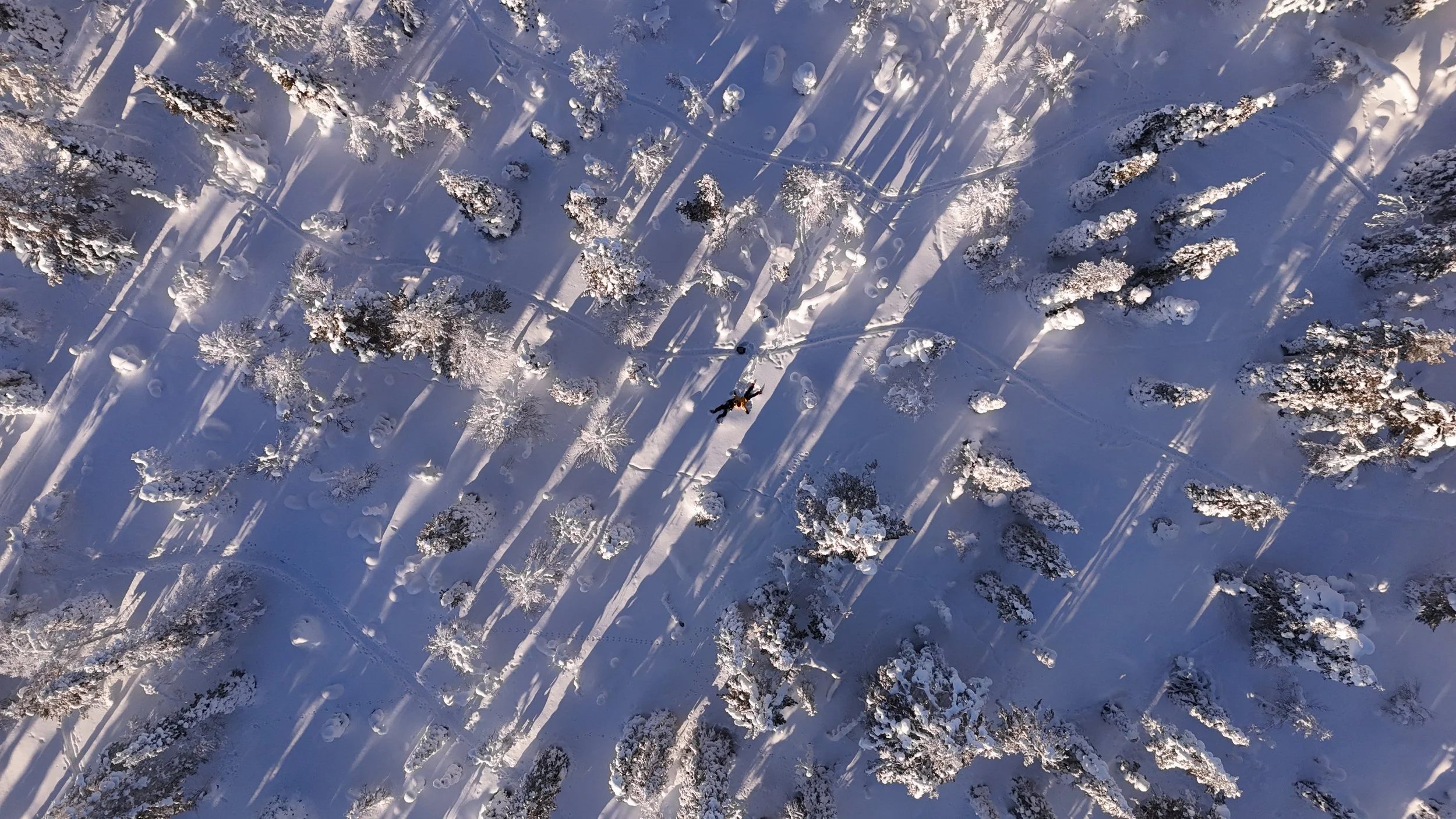 Aerial view shot by drone of a snowy forest with tracks in the snow and a person with a dog in the middle of the forest.