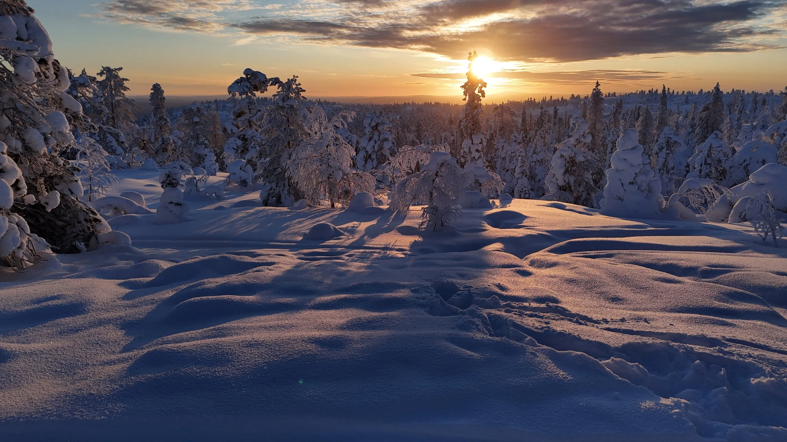 Snow-covered landscape in Lapland with trees and a setting or rising sun near the horizon. Aerial view shot by drone.