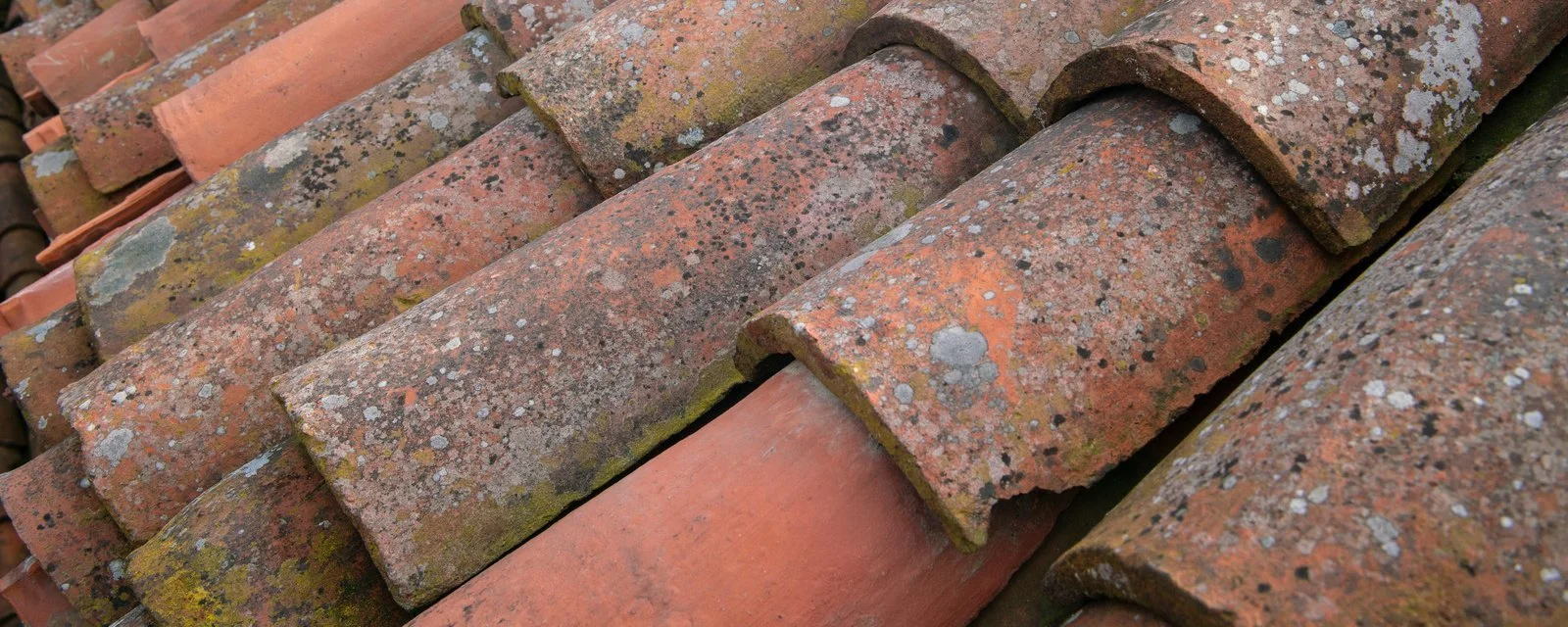 Close-up view of weathered terracotta roof tiles with moss and lichen growth.