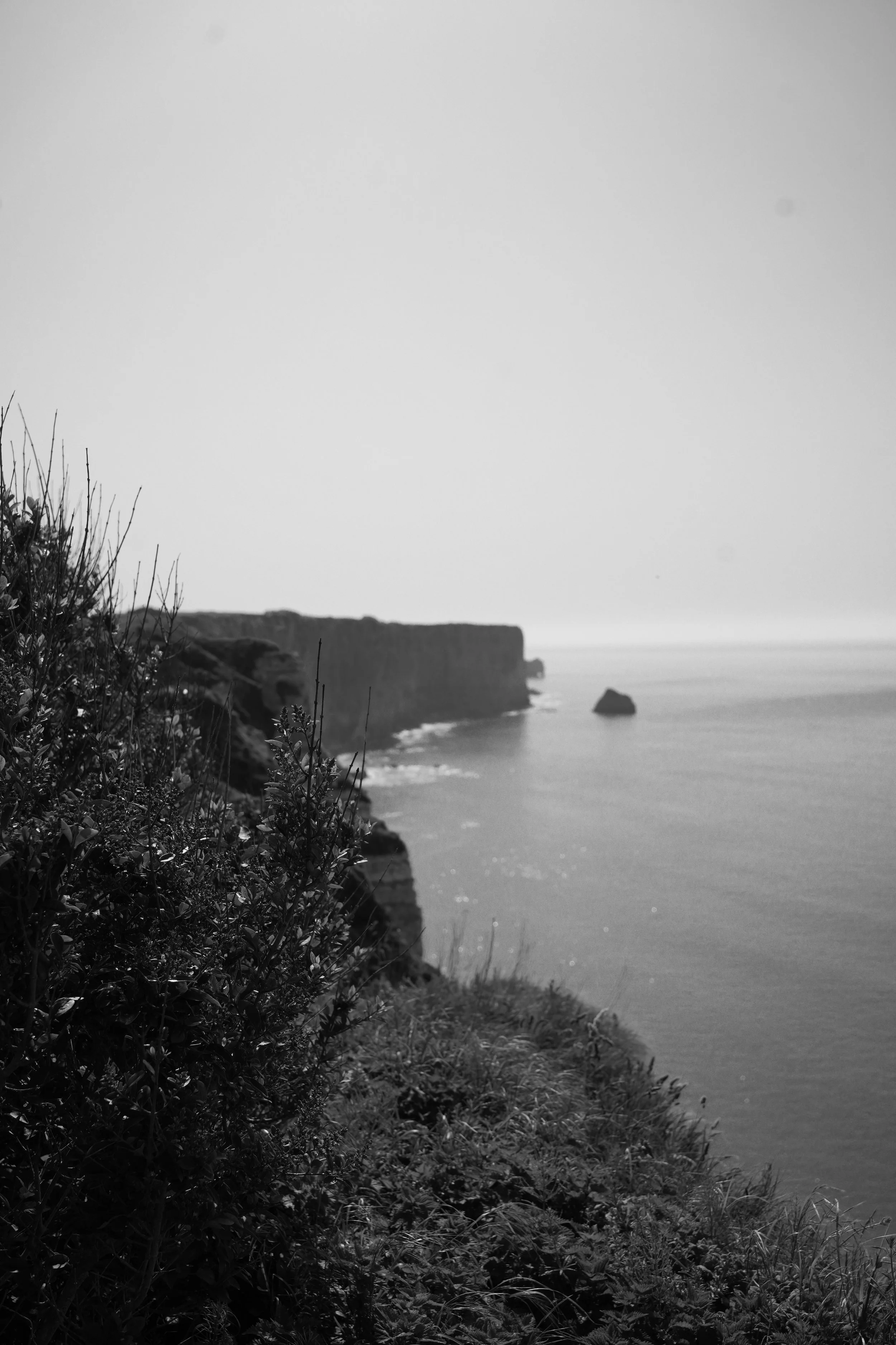 DSC03574.jpeg
