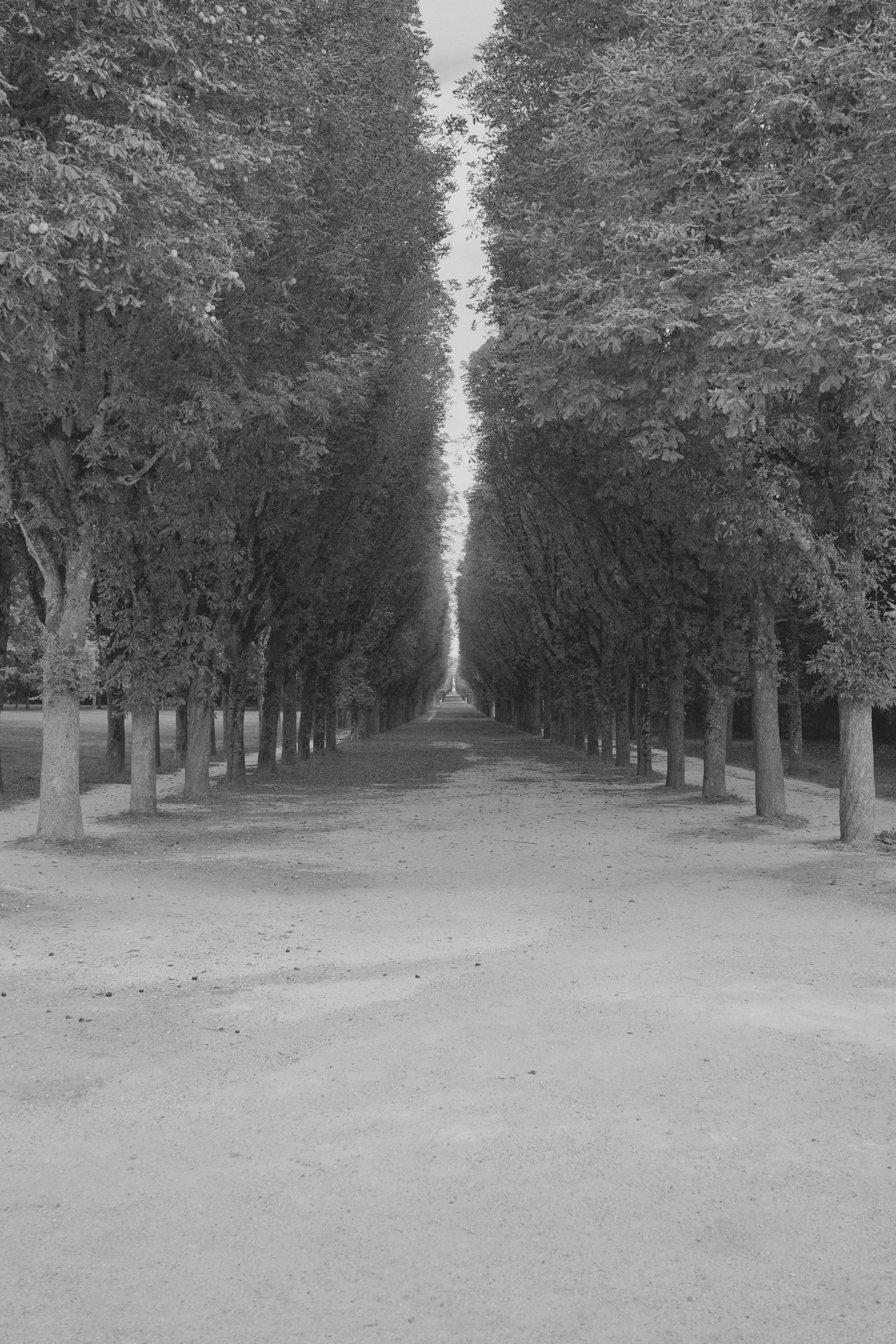 DSC04895.jpeg