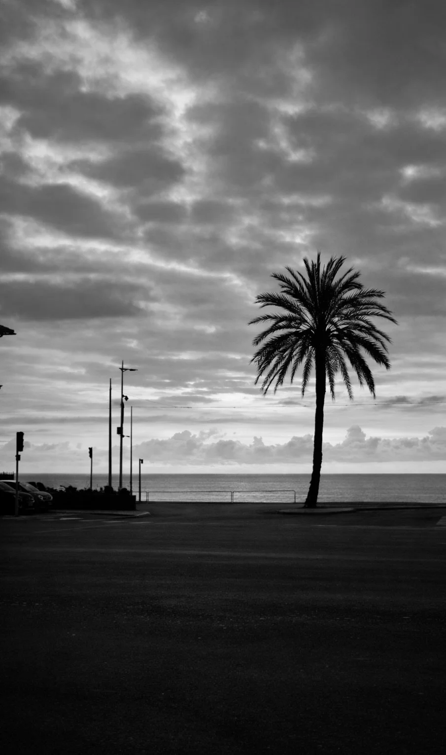 ChatGPT Image 2 mars 2026 à 07_03_42.jpeg