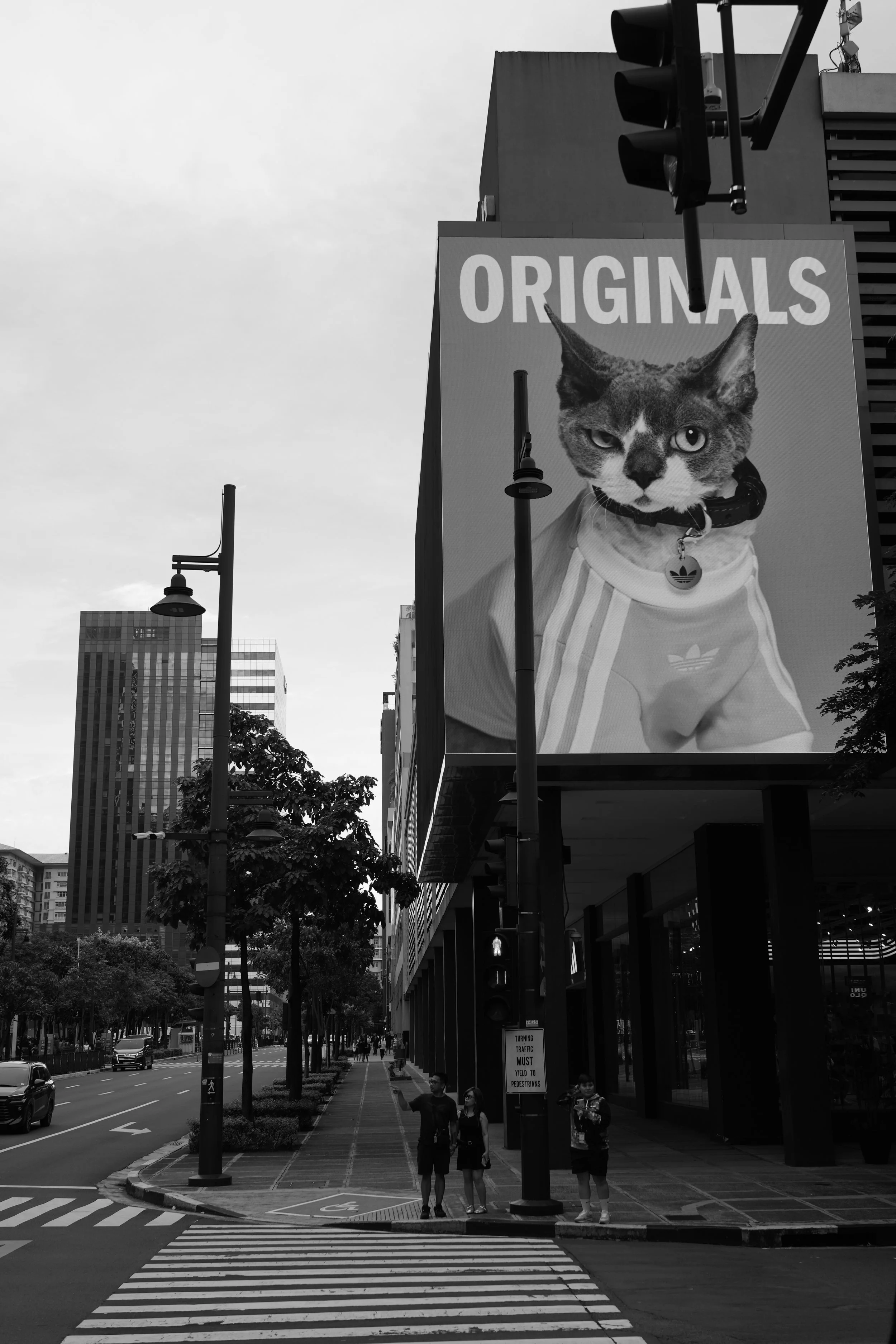 DSC03830.jpeg