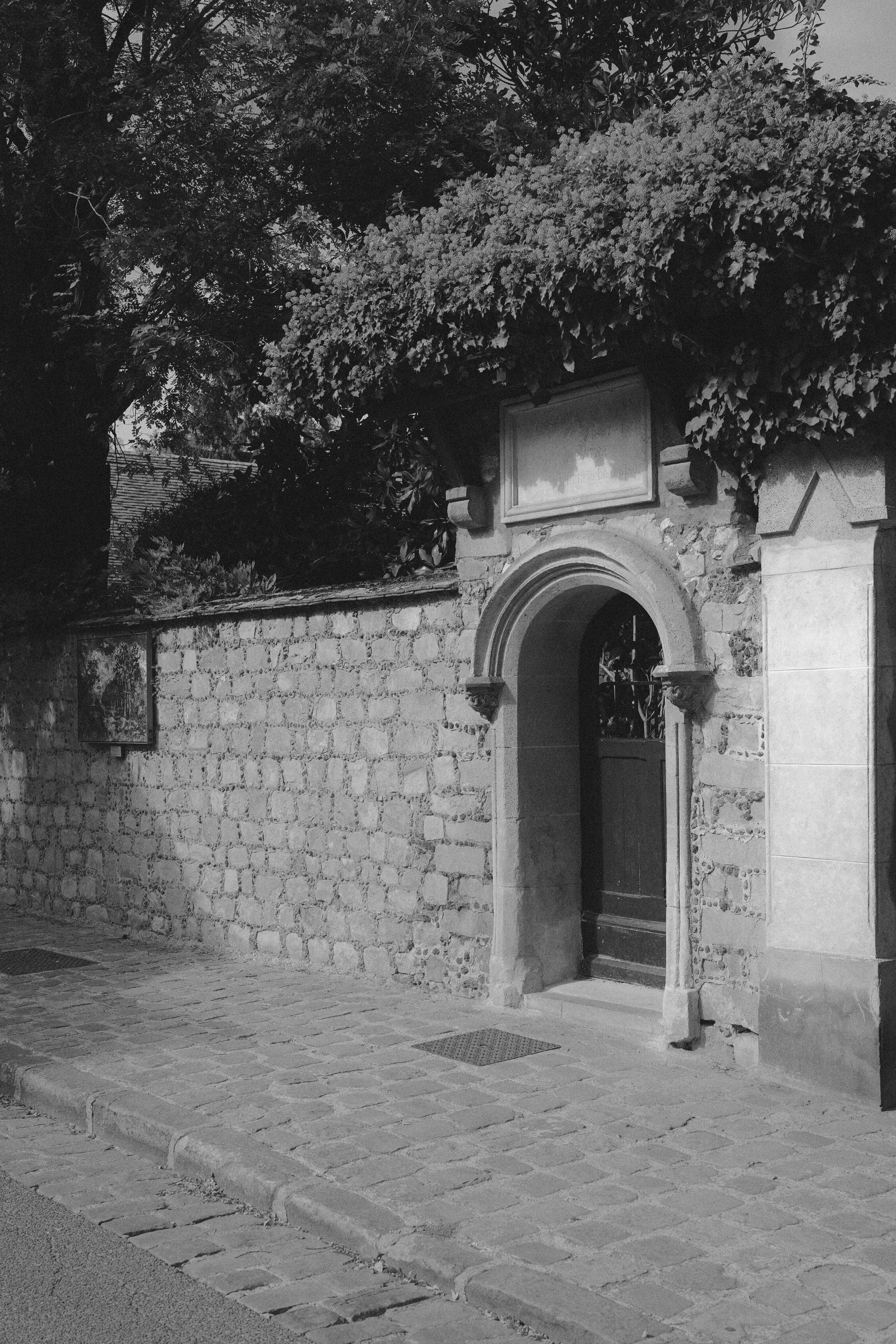 DSC04939.jpeg