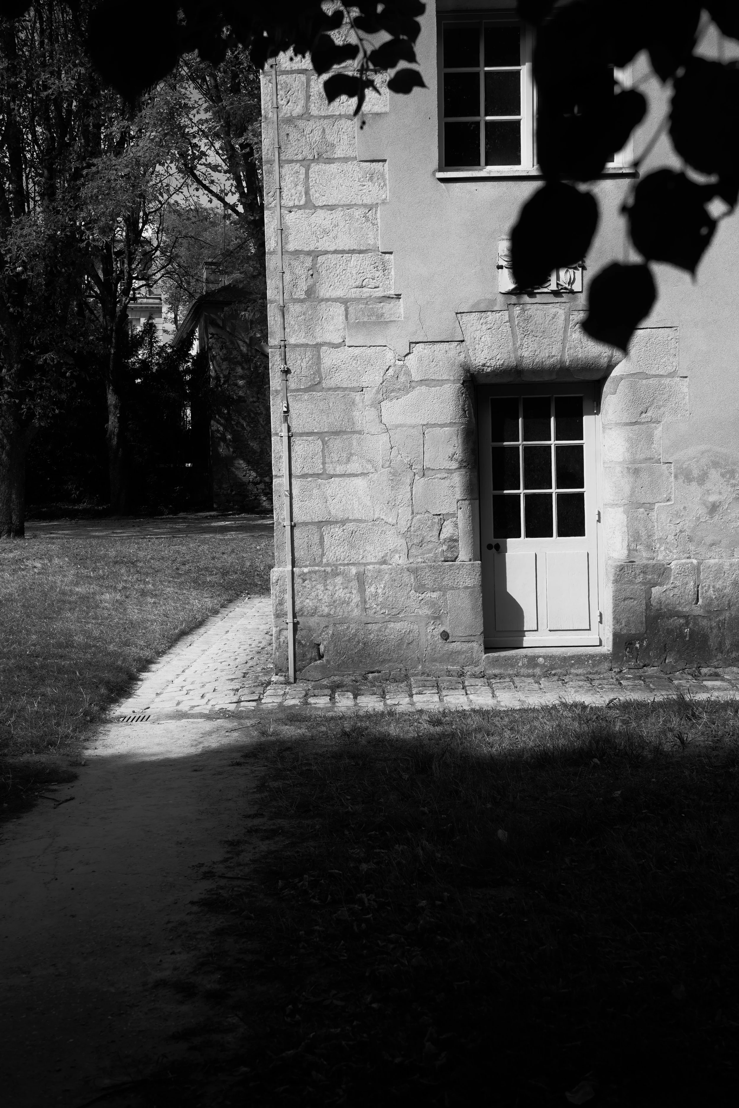 DSC04883.jpeg