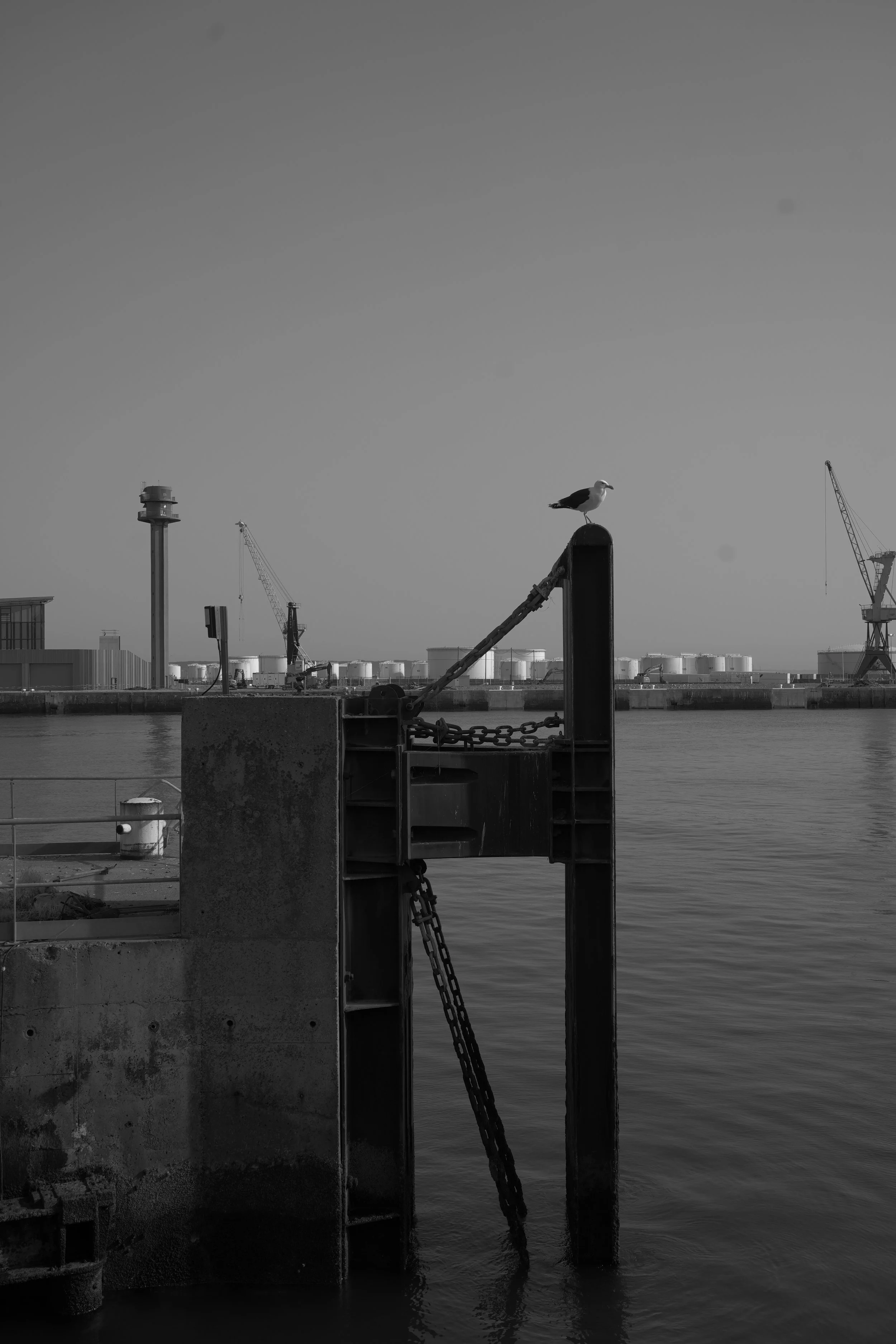 DSC03651.jpeg