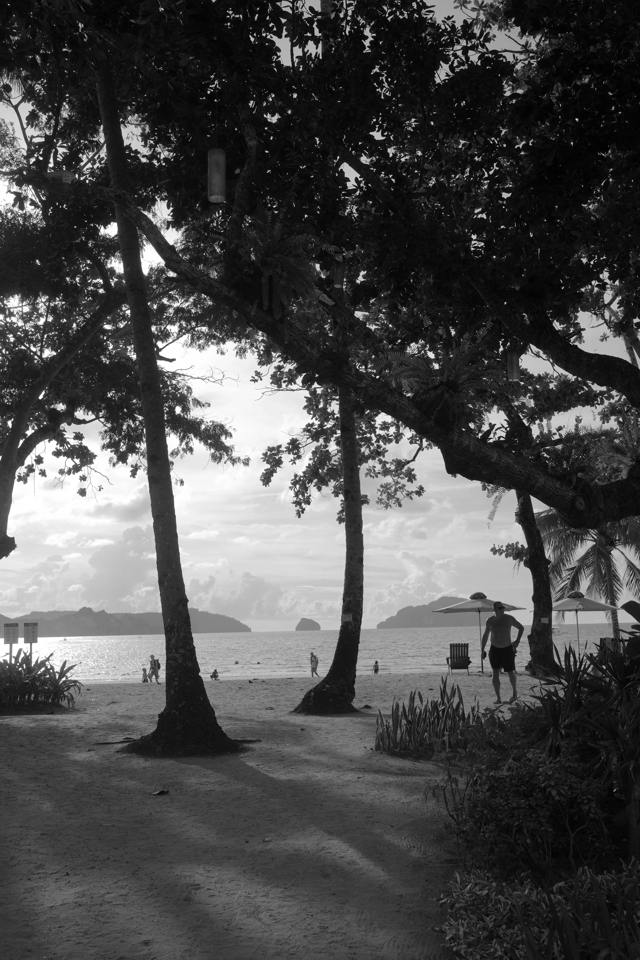 DSC04262.jpeg