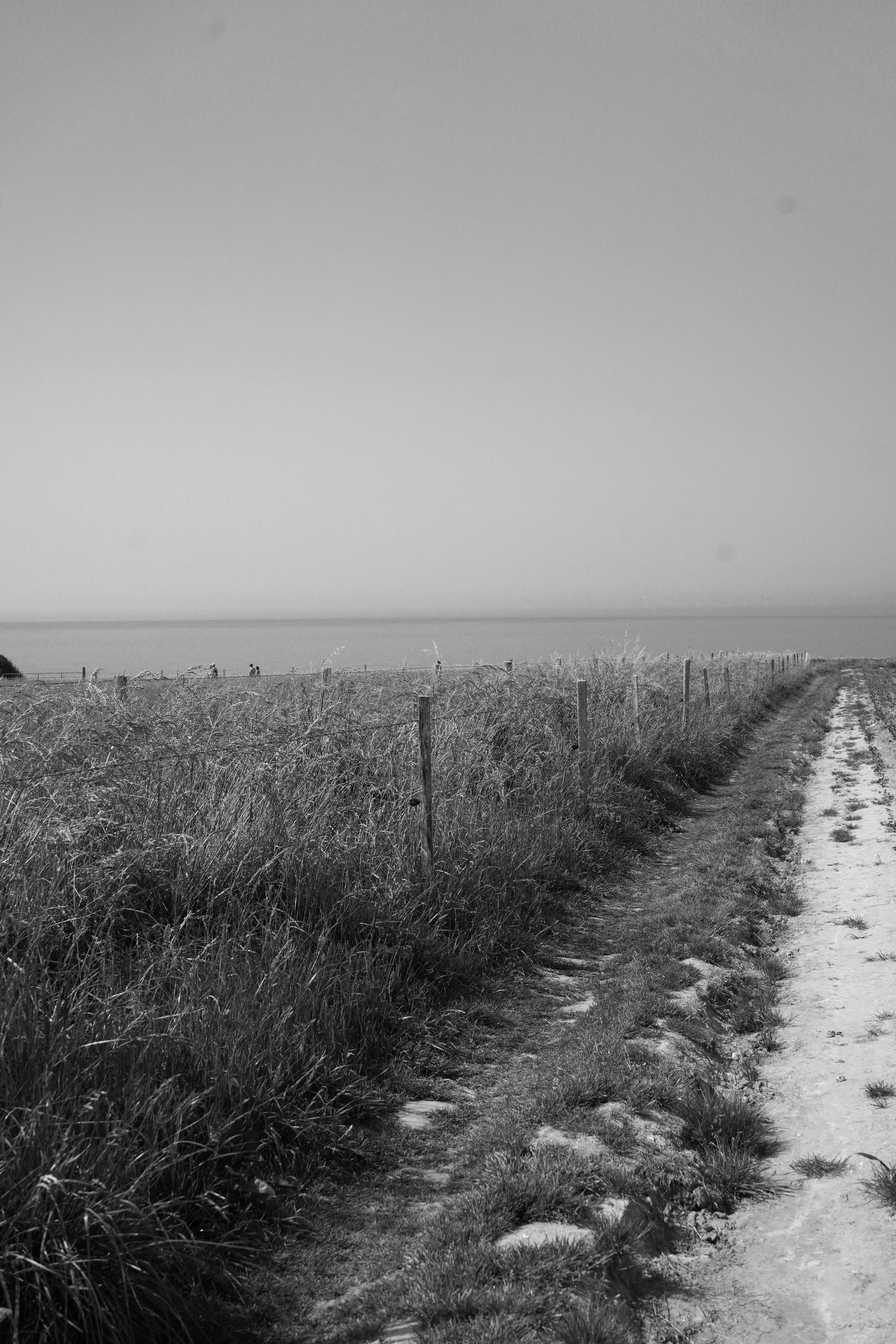 DSC03561.jpeg