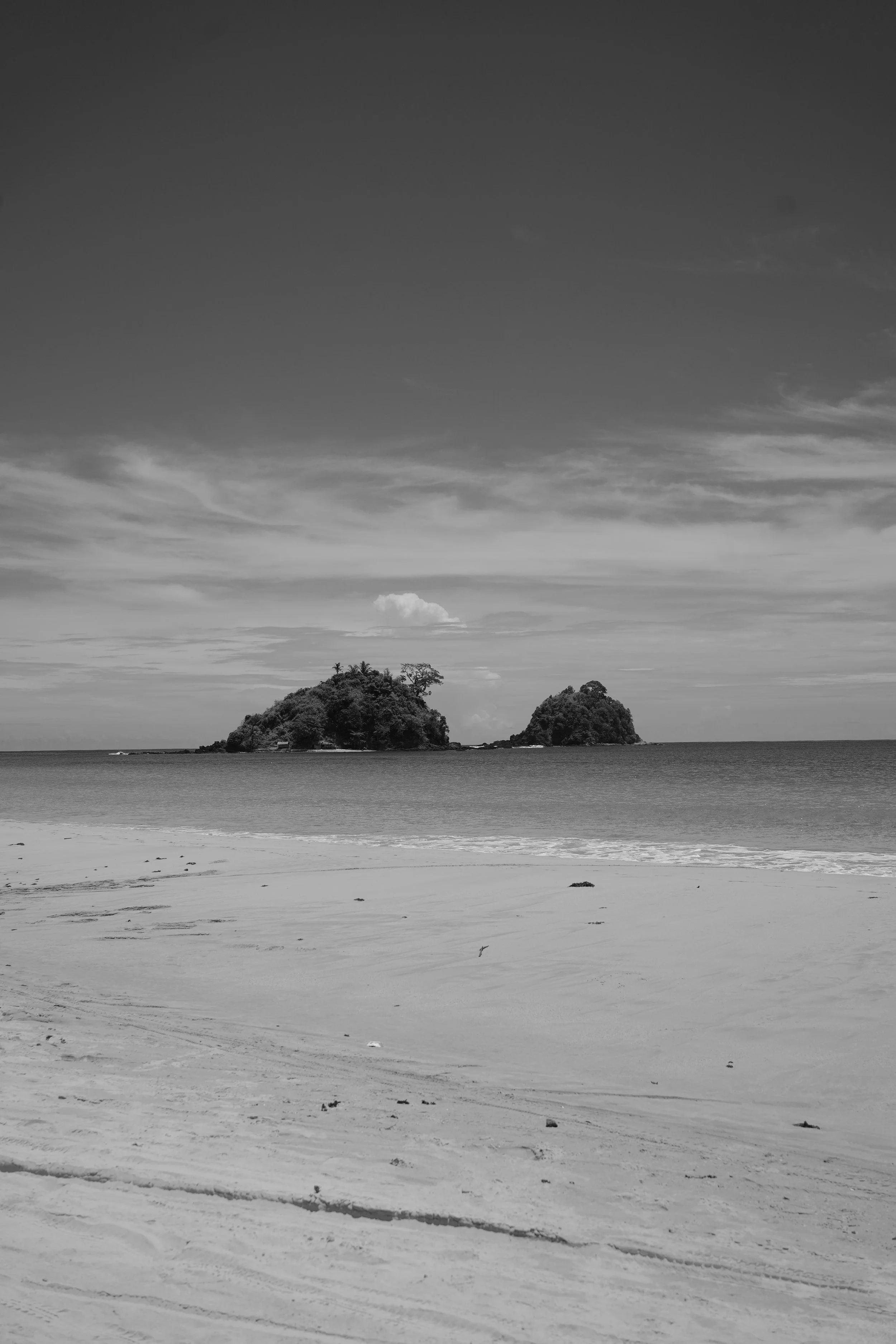 DSC04207.jpeg