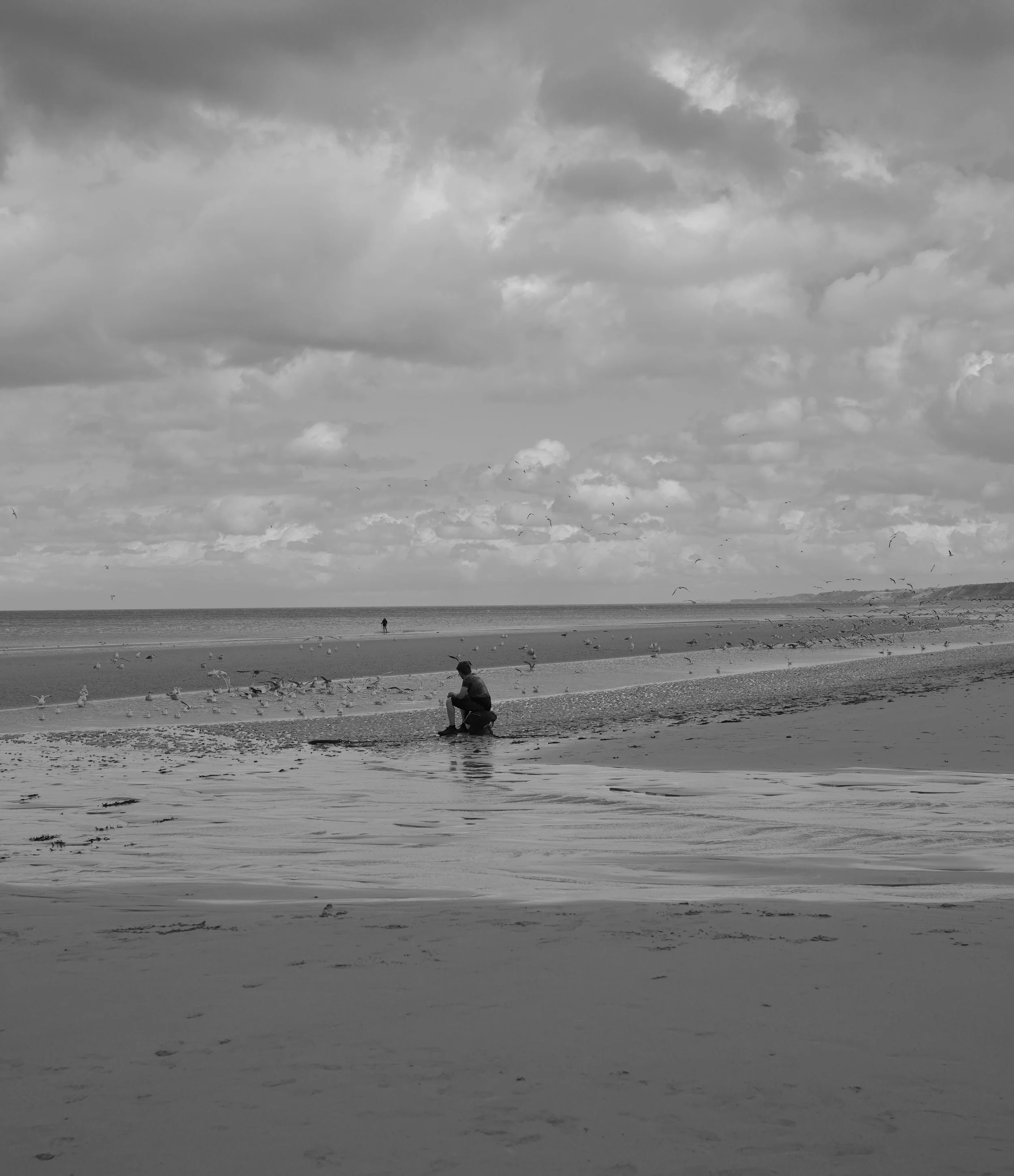 DSC04656.jpeg