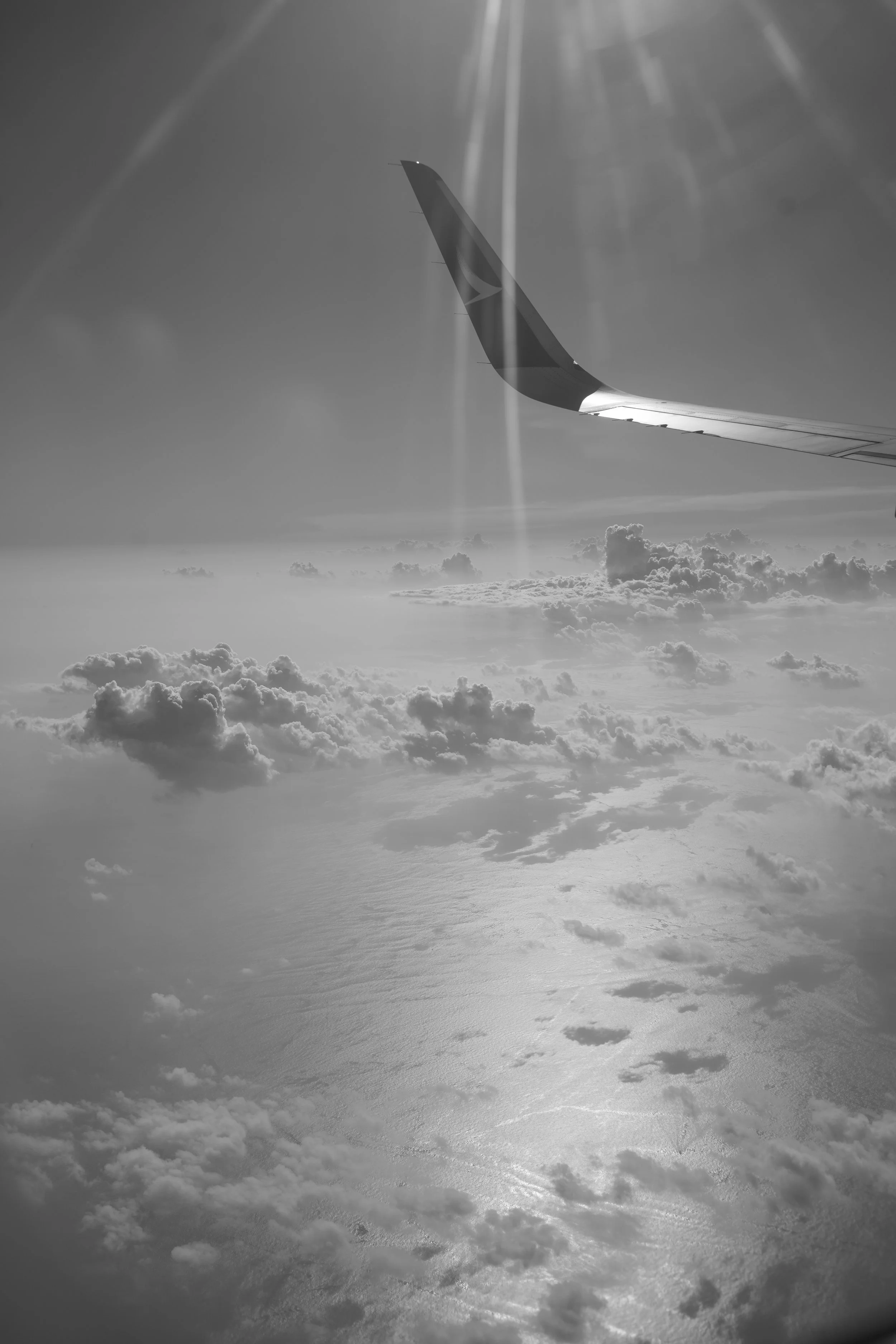 DSC03778.jpeg