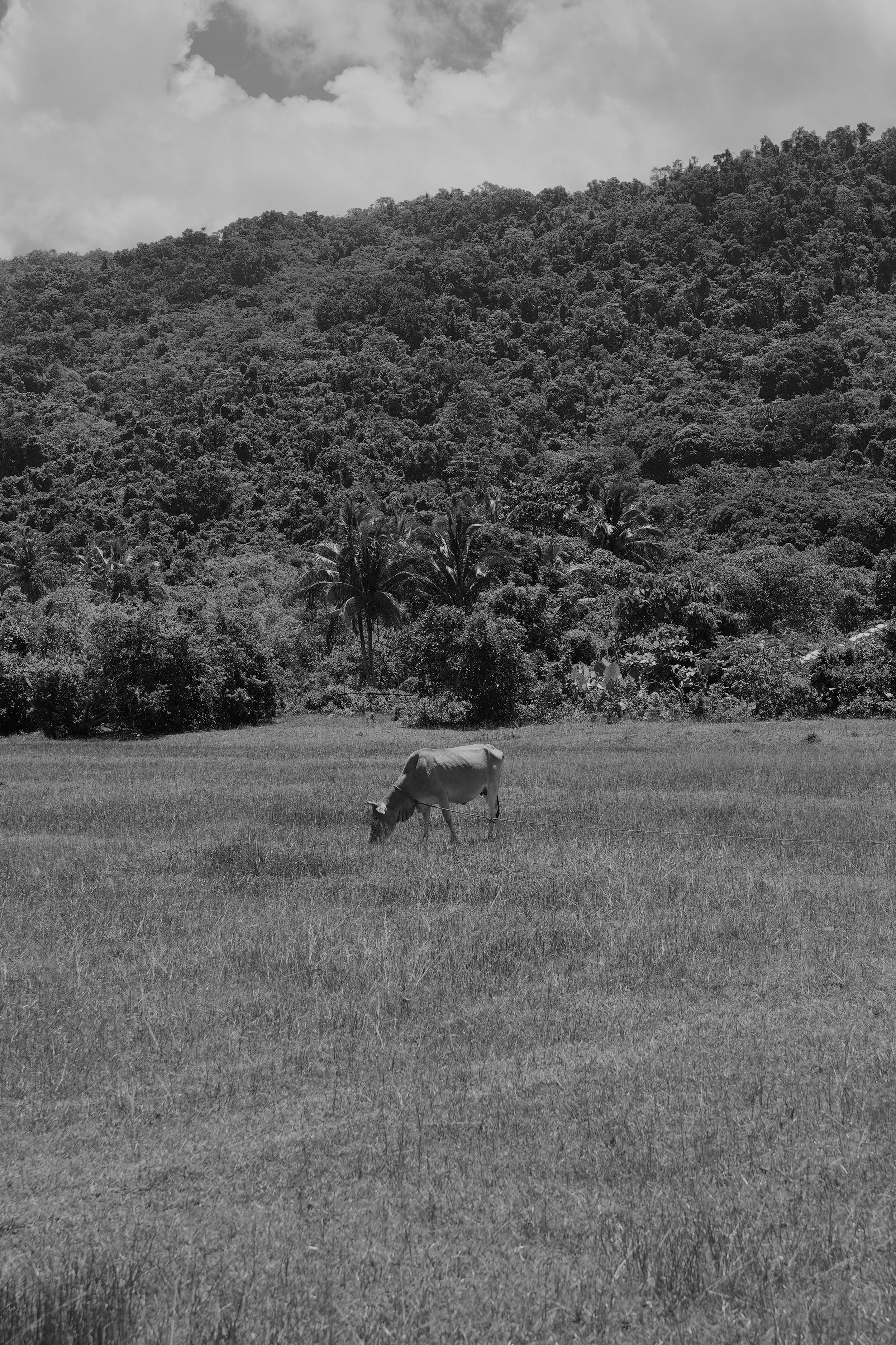 DSC04125.jpeg