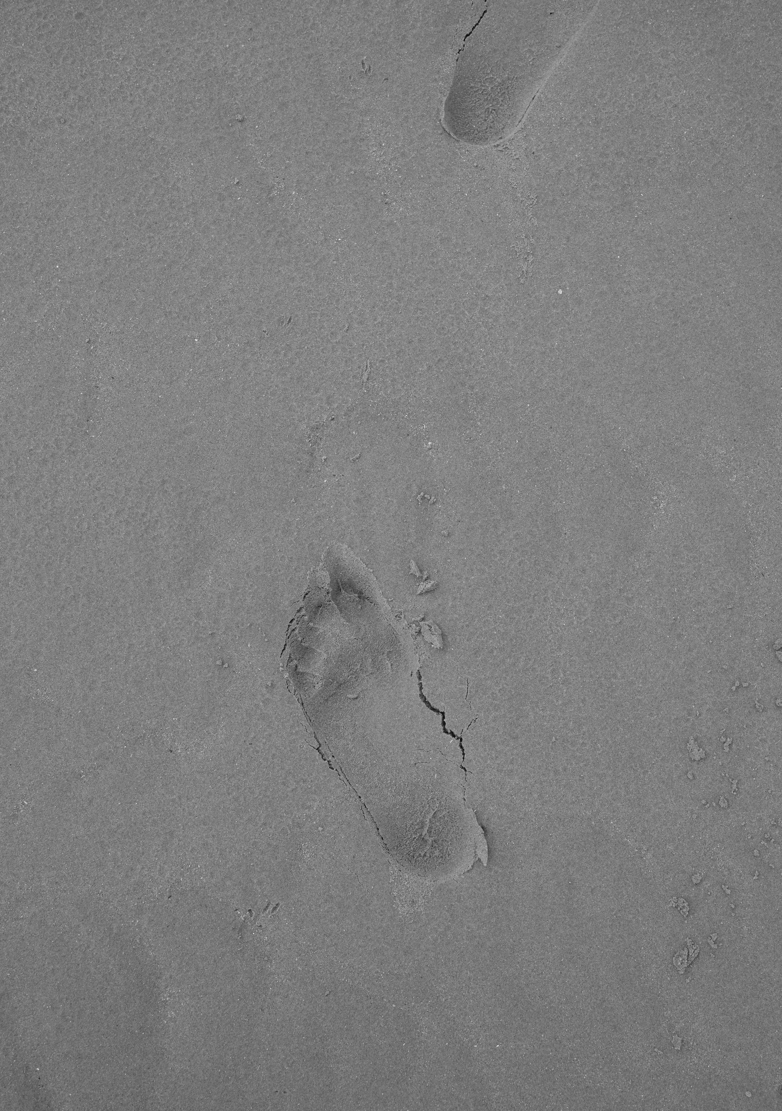 DSC04598.jpeg