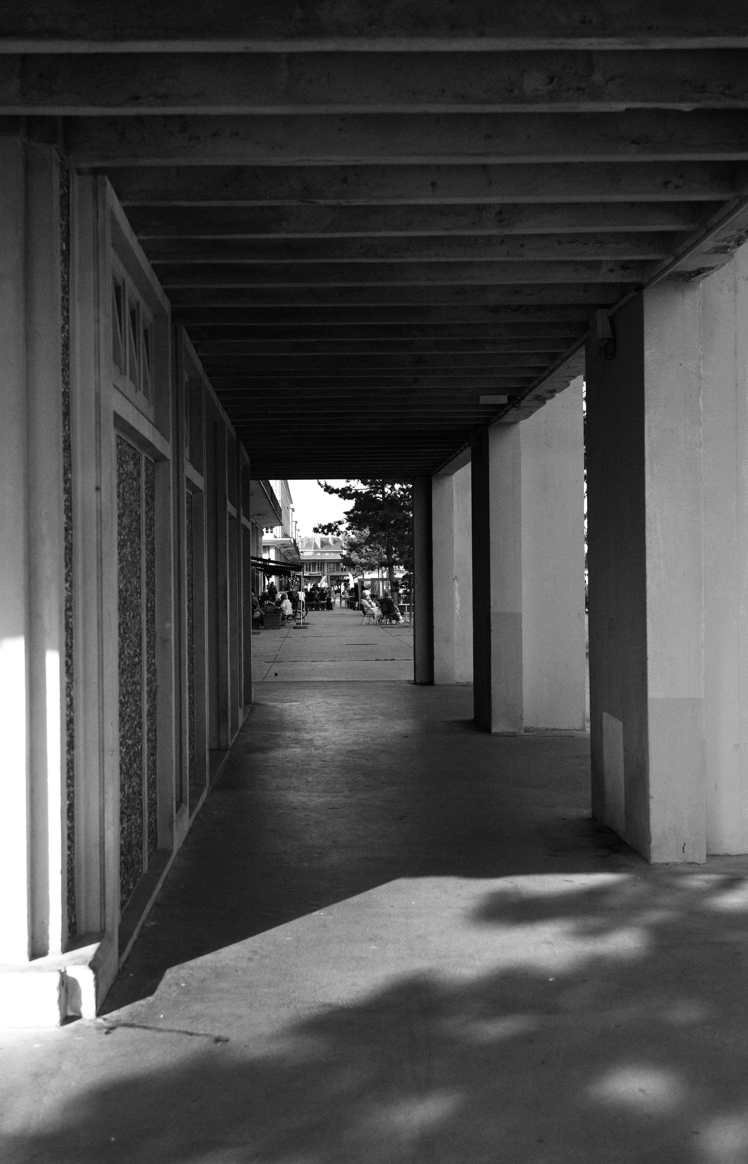 DSC03694.jpeg