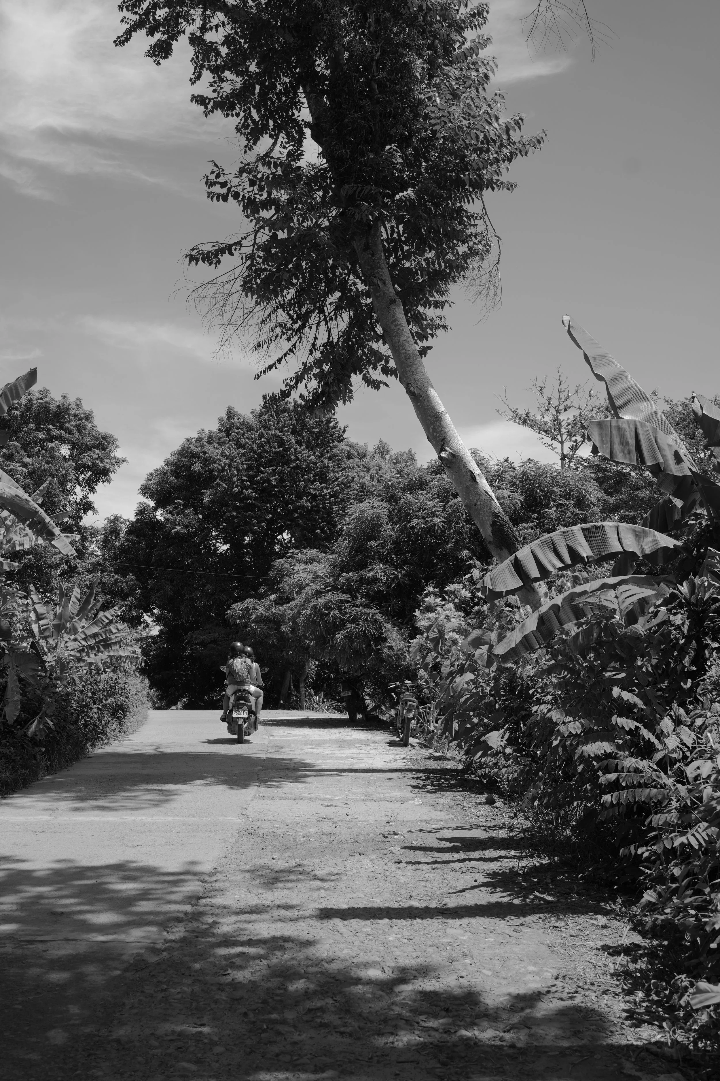 DSC04096.jpeg