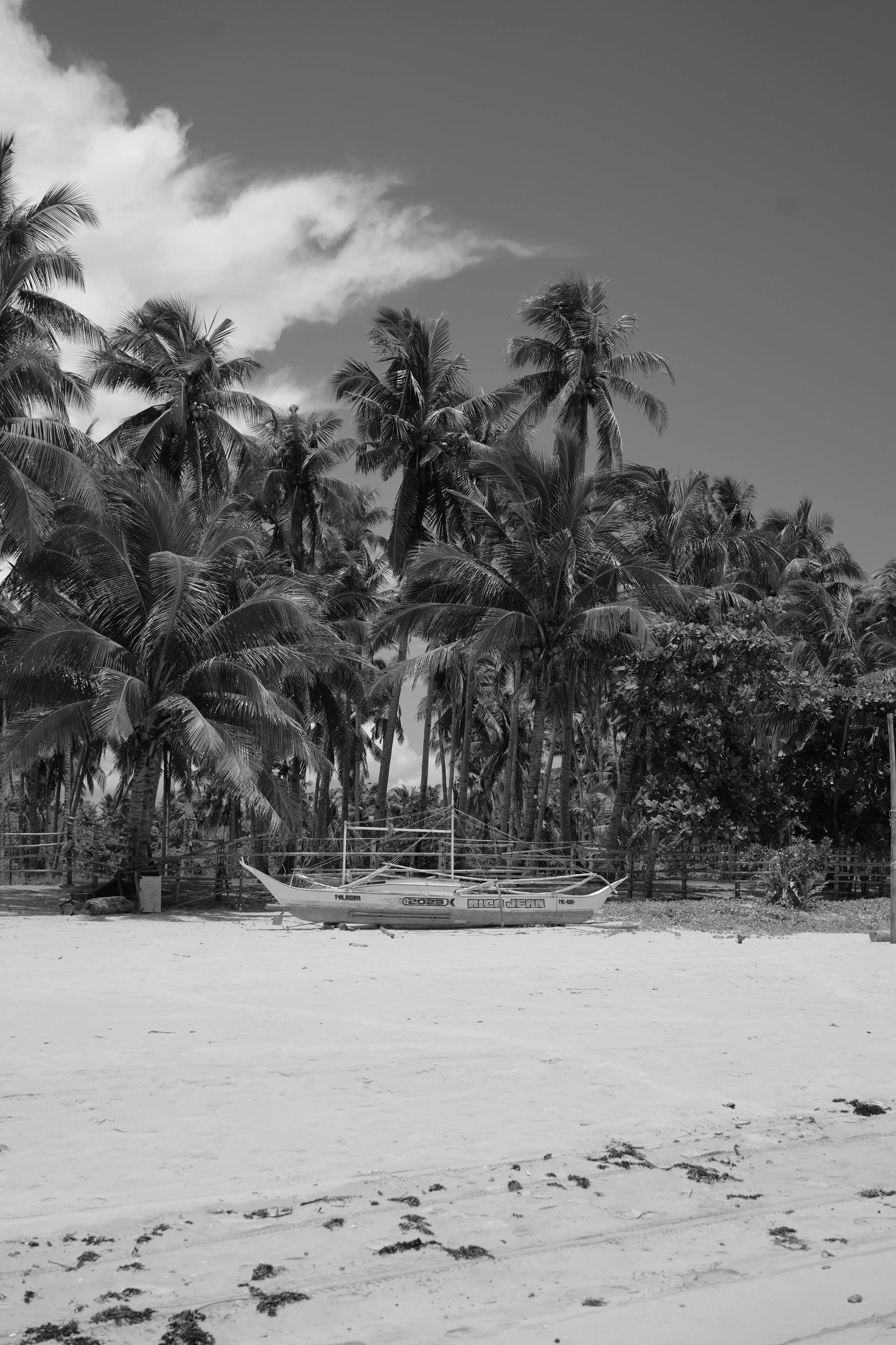 DSC04238.jpeg