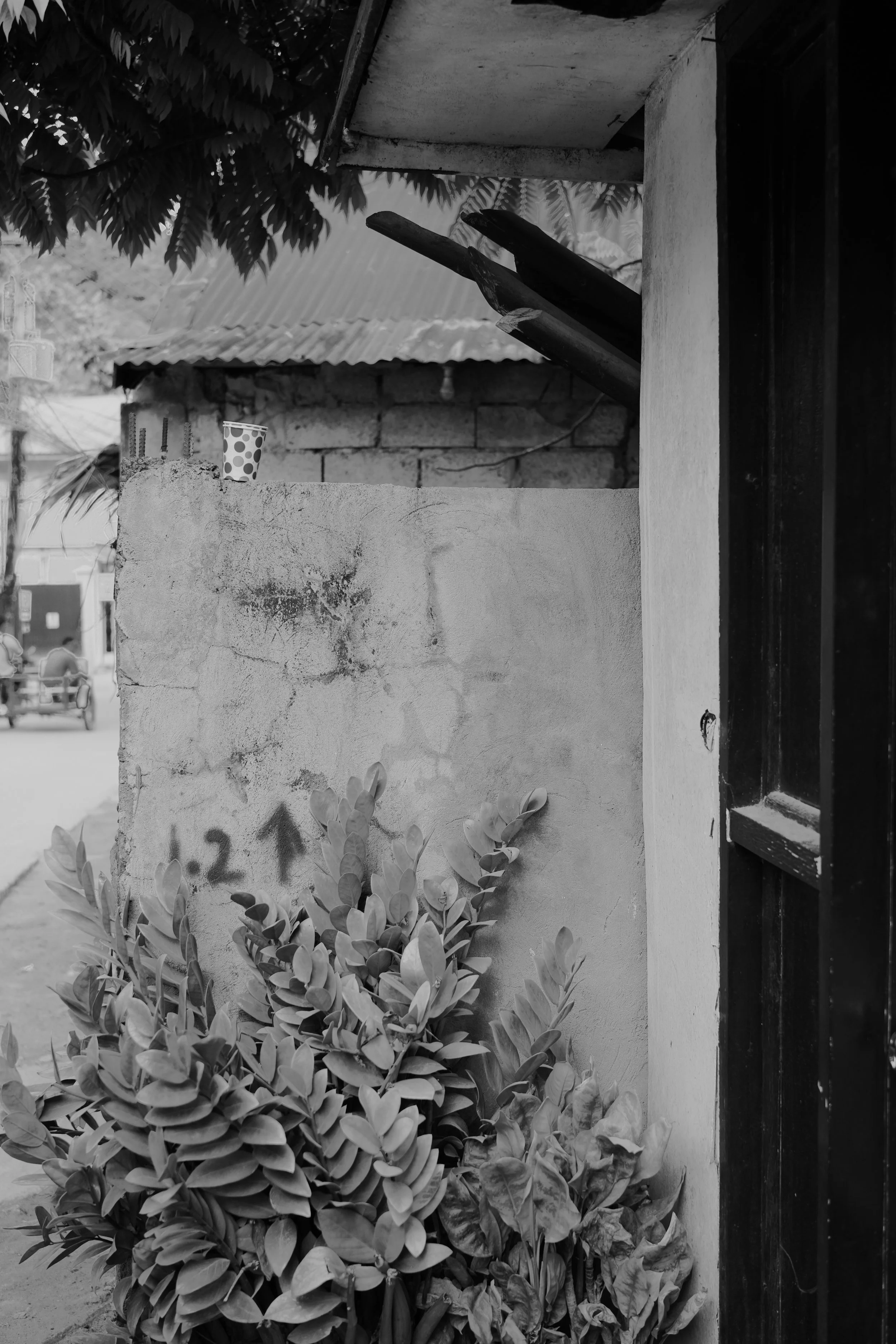 DSC04404.jpeg