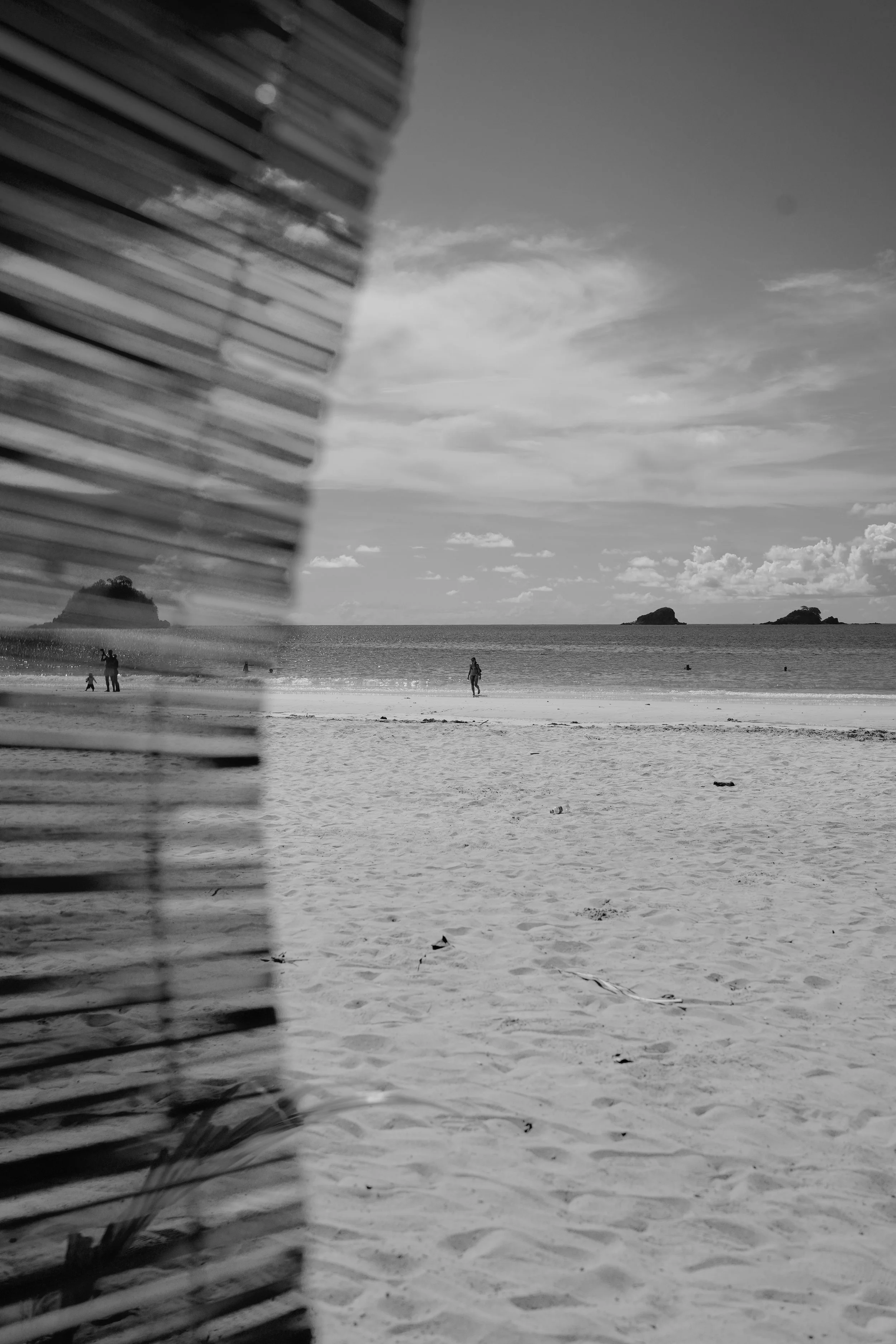DSC04309.jpeg