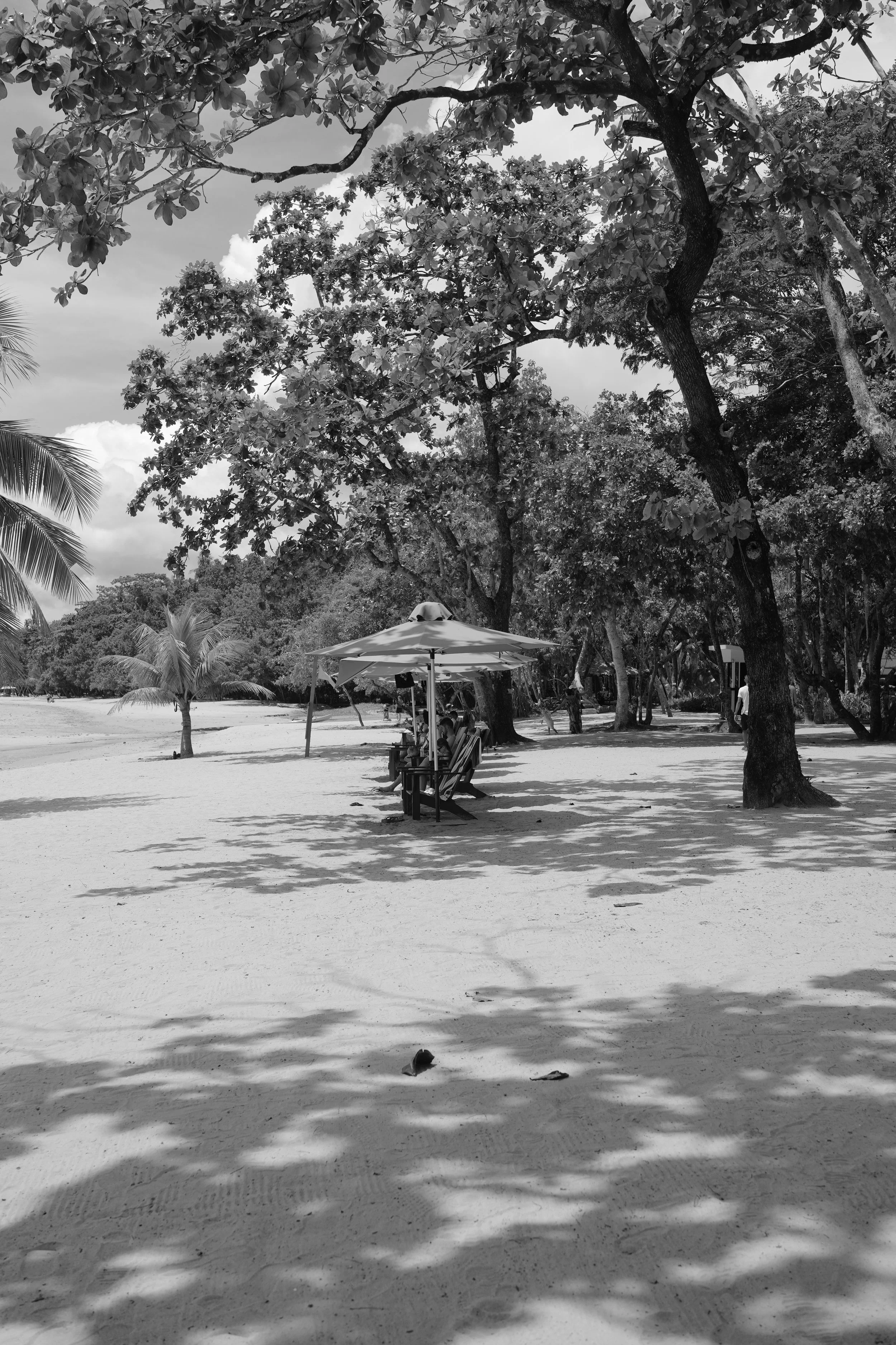 DSC04277.jpeg