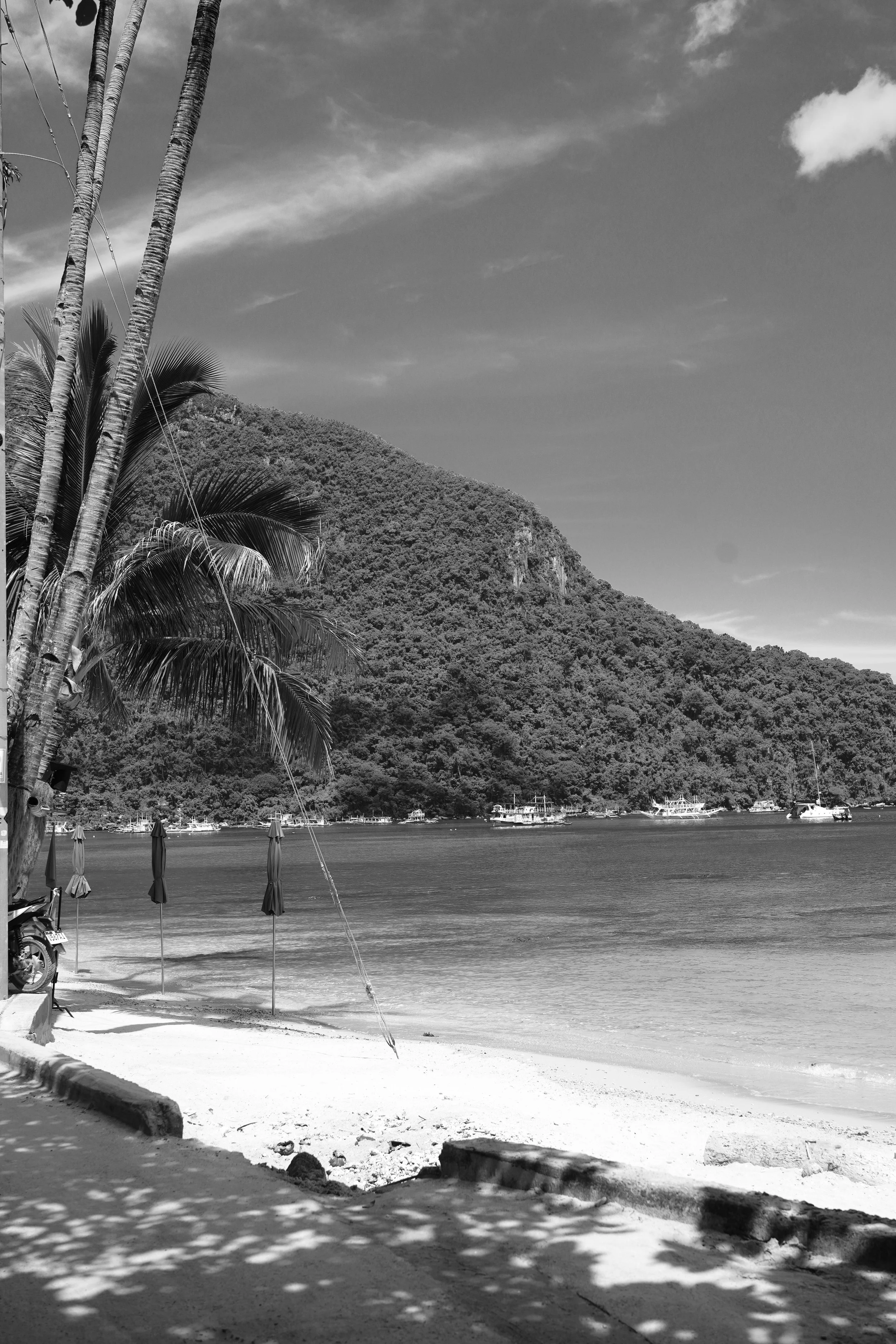 DSC03923 2.jpeg