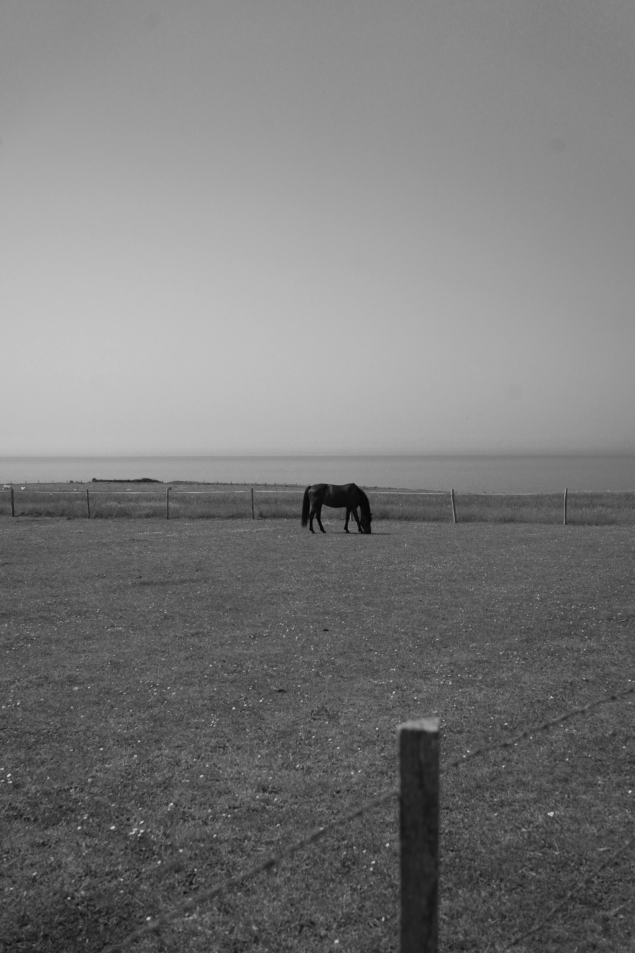 DSC03532.jpeg