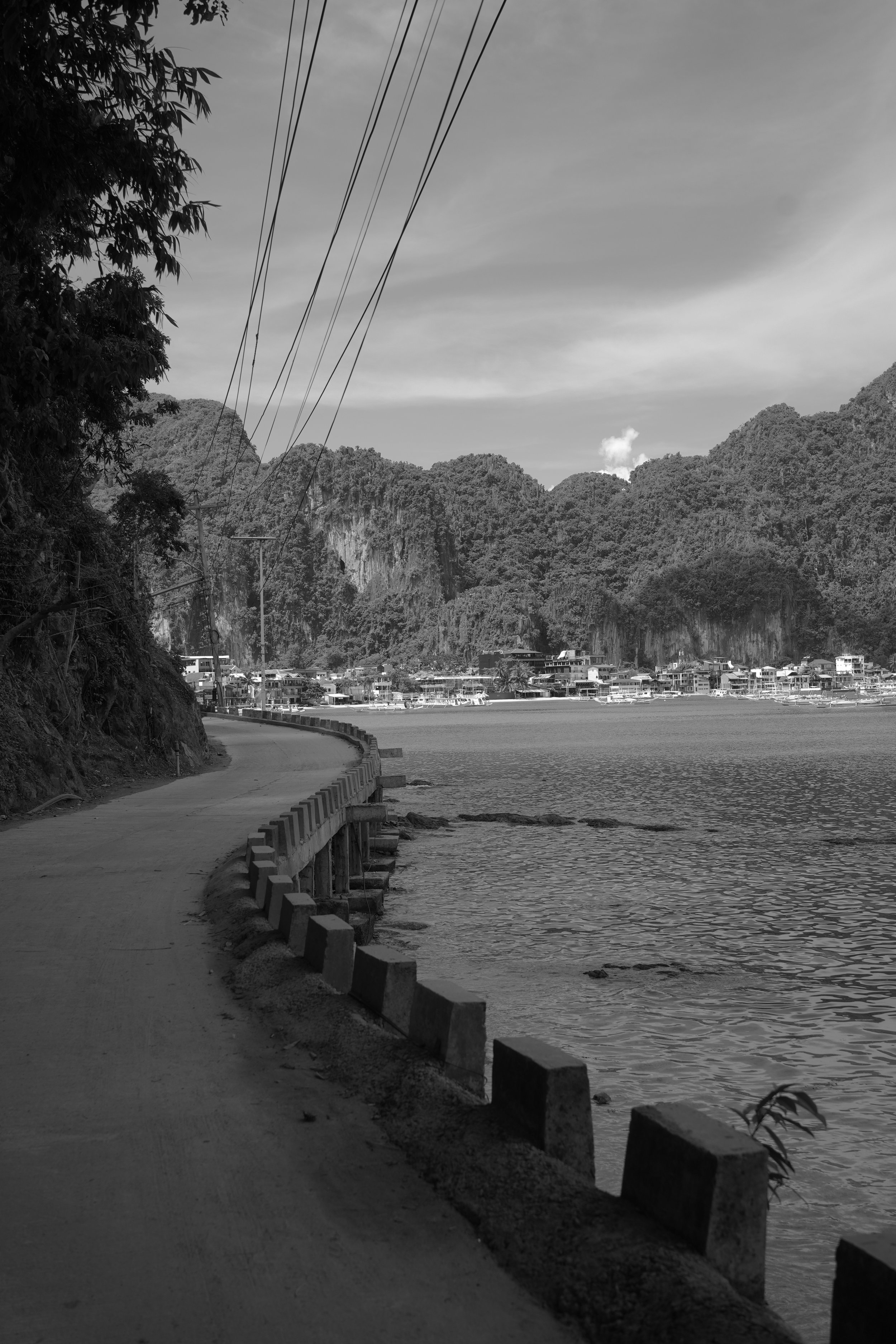 DSC03936 2.jpeg