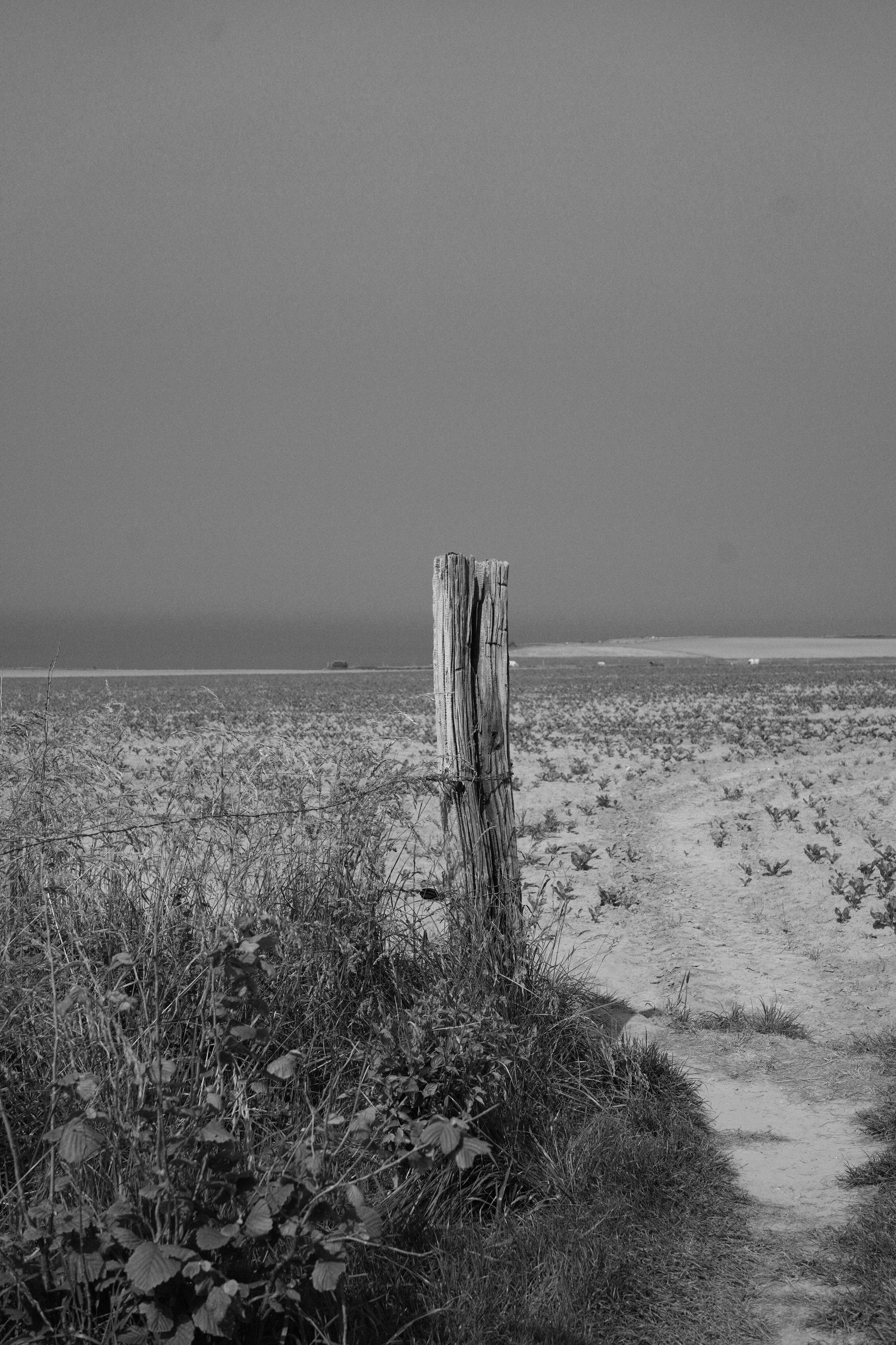 DSC03536.jpeg