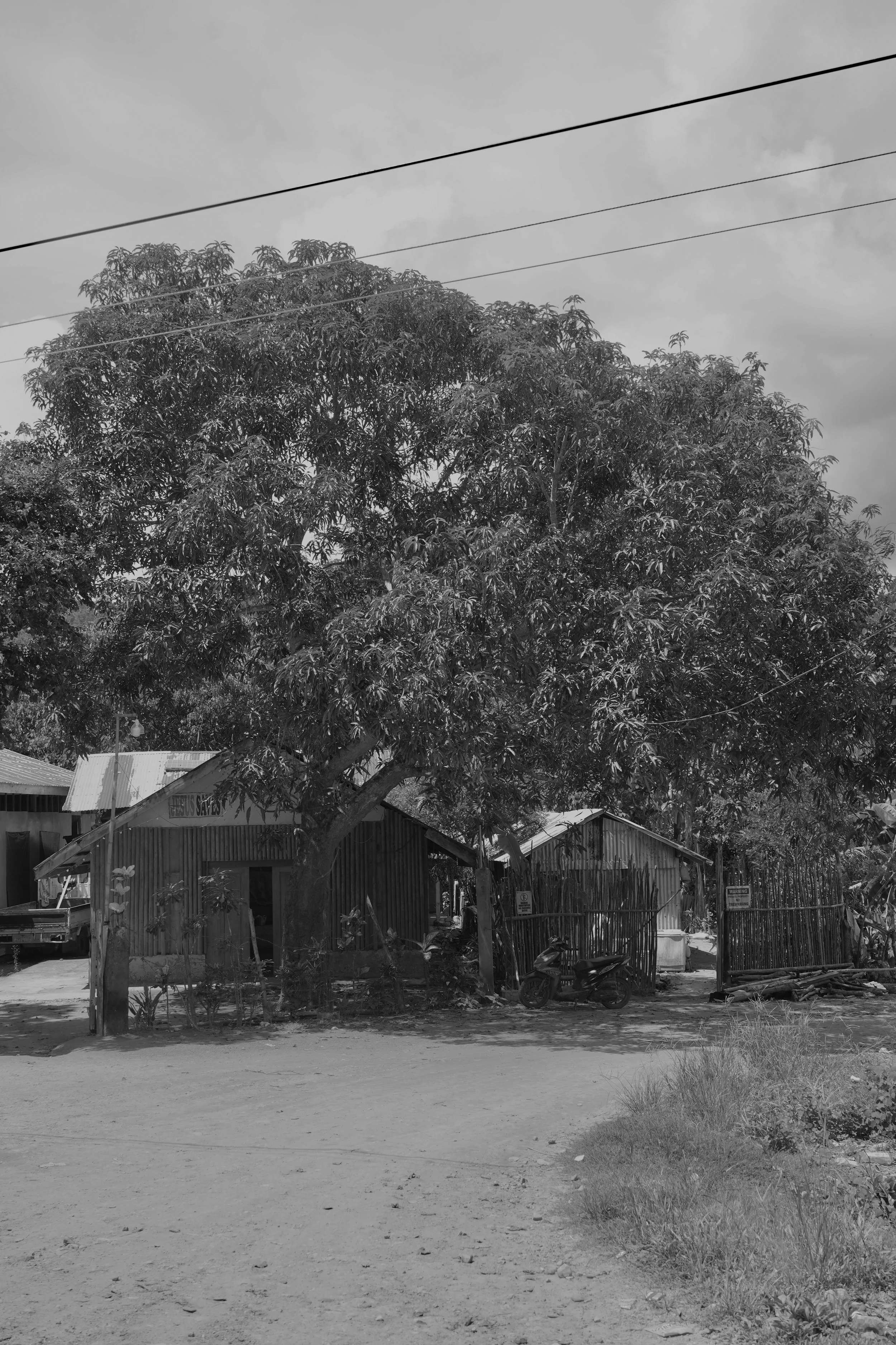 DSC04286.jpeg