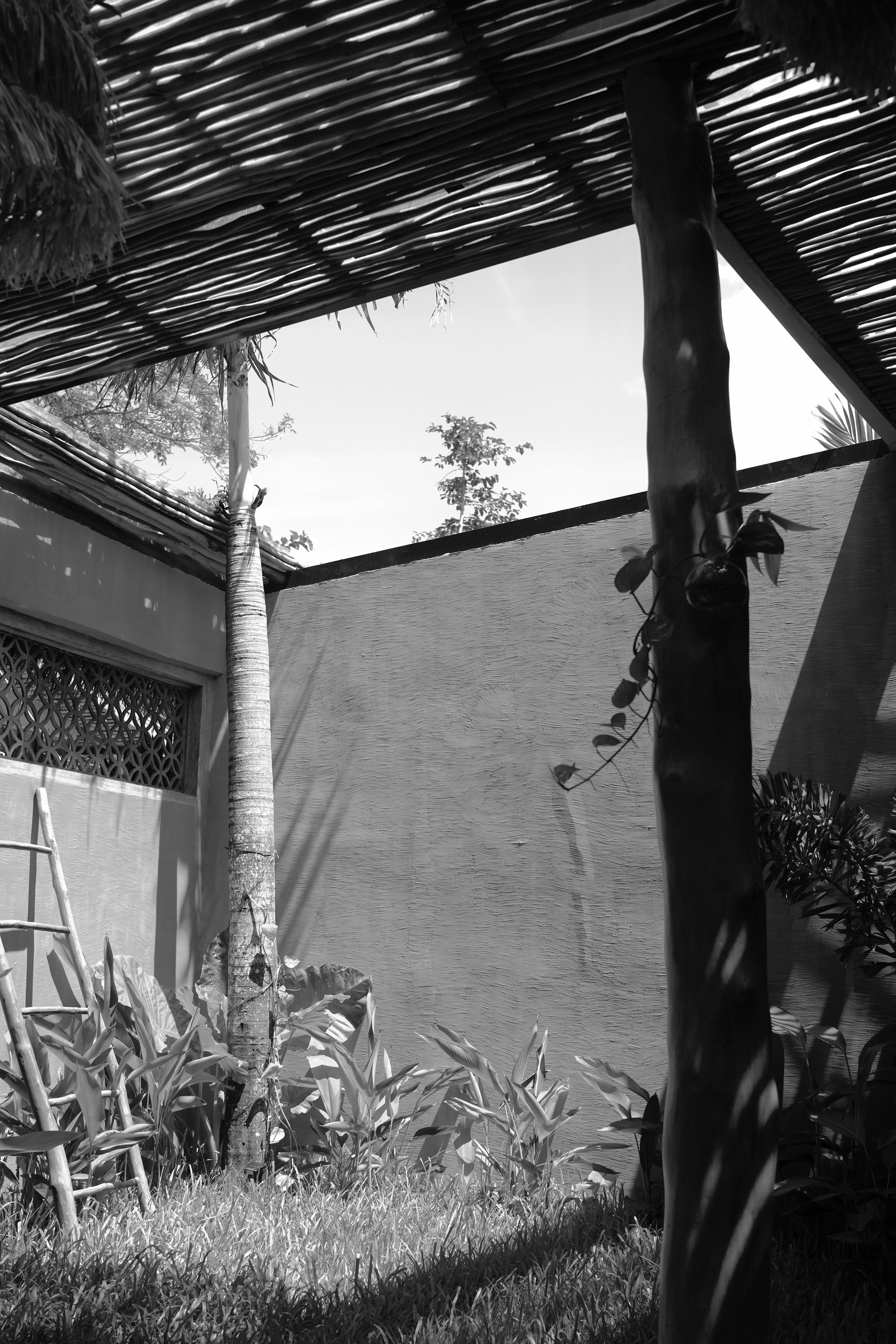 DSC04266.jpeg