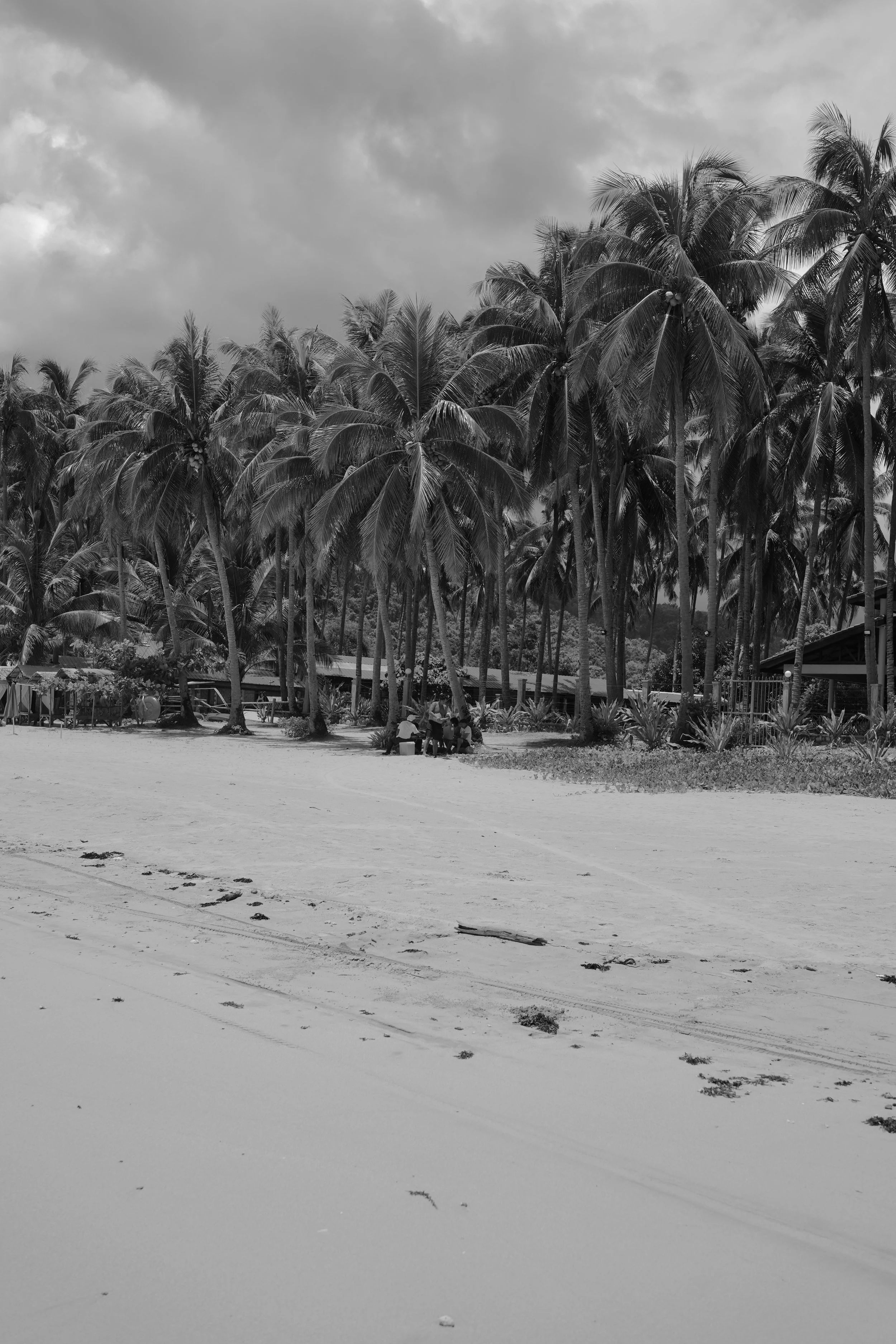 DSC04226.jpeg