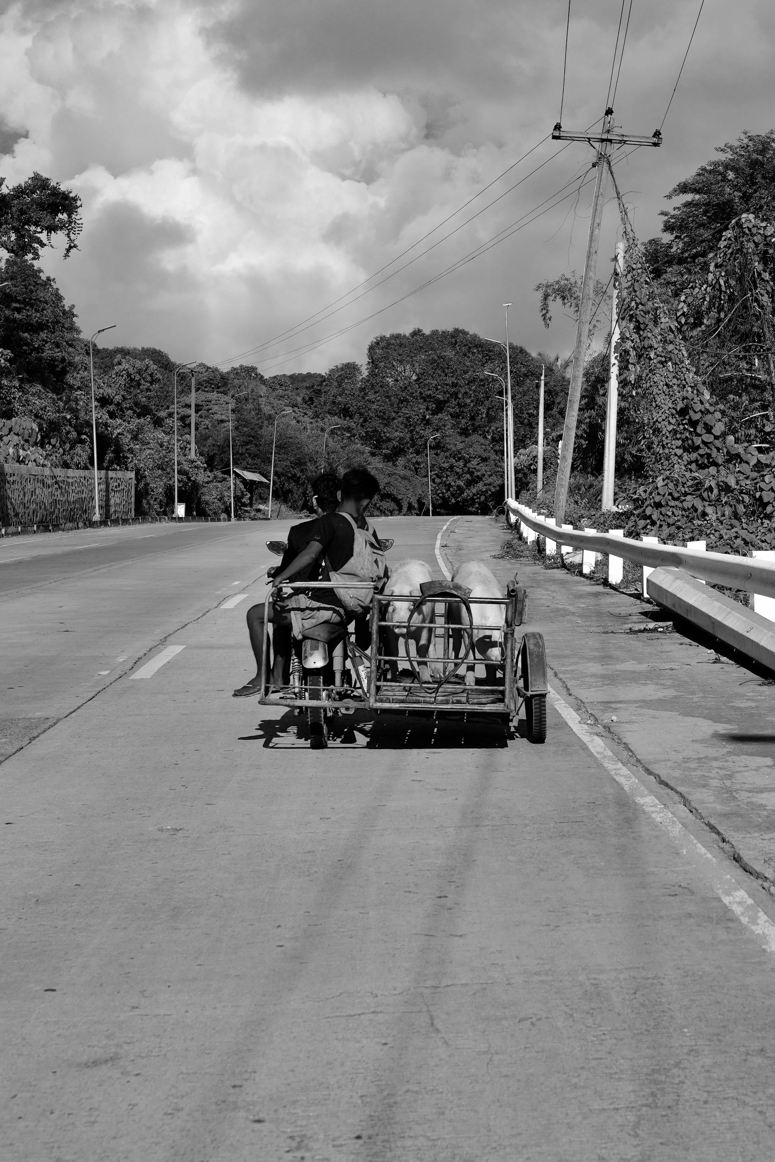 DSC04344.jpeg