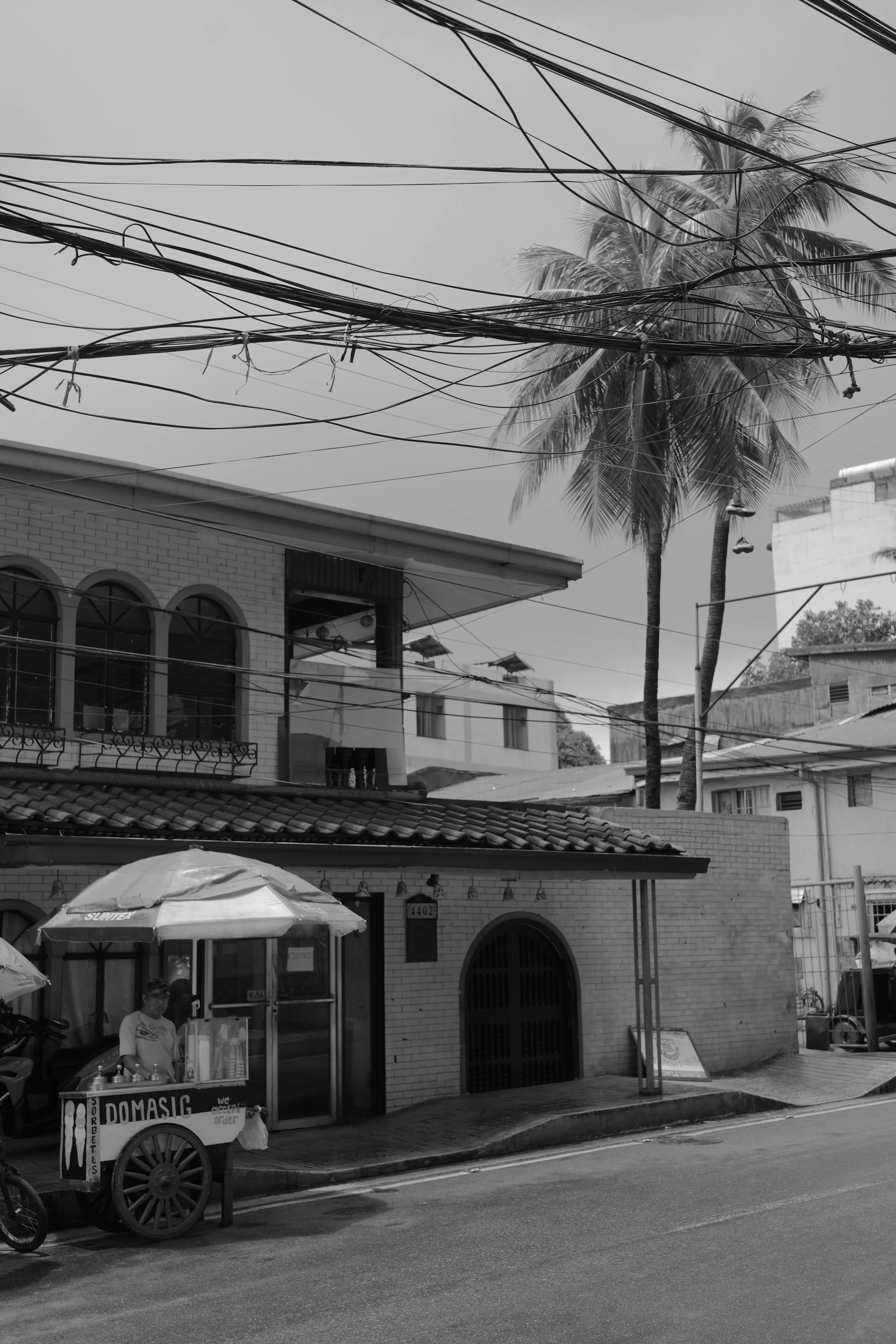 DSC03801.jpeg