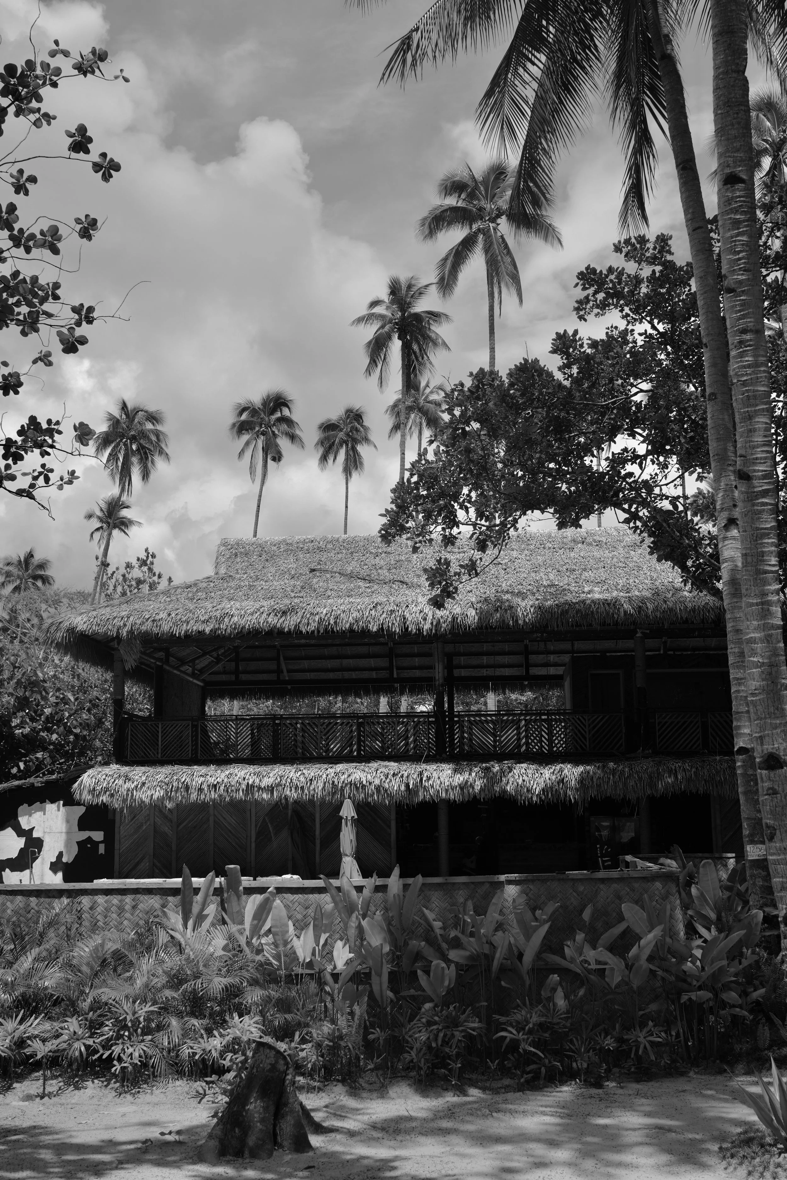 DSC04283.jpeg