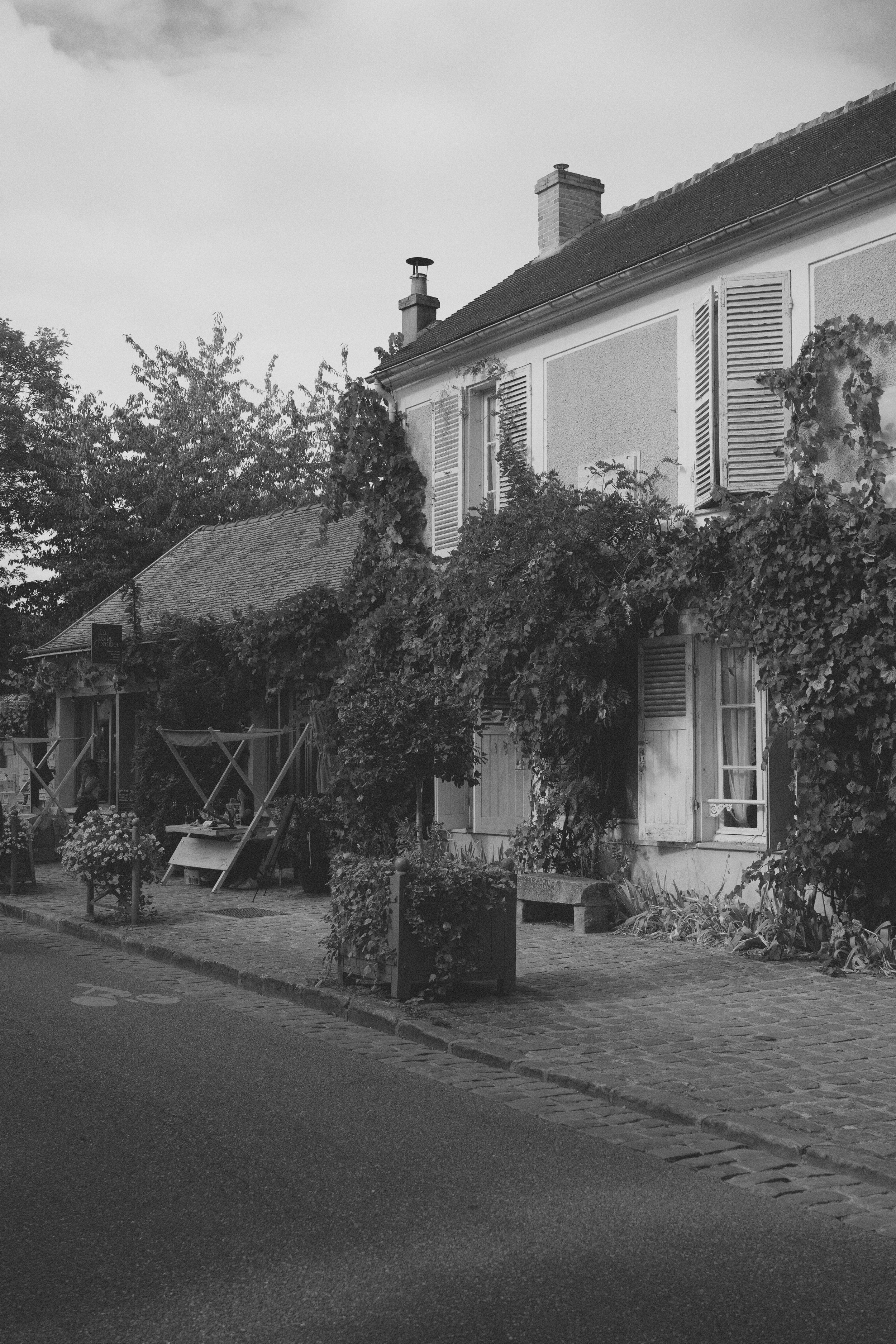DSC04934.jpeg