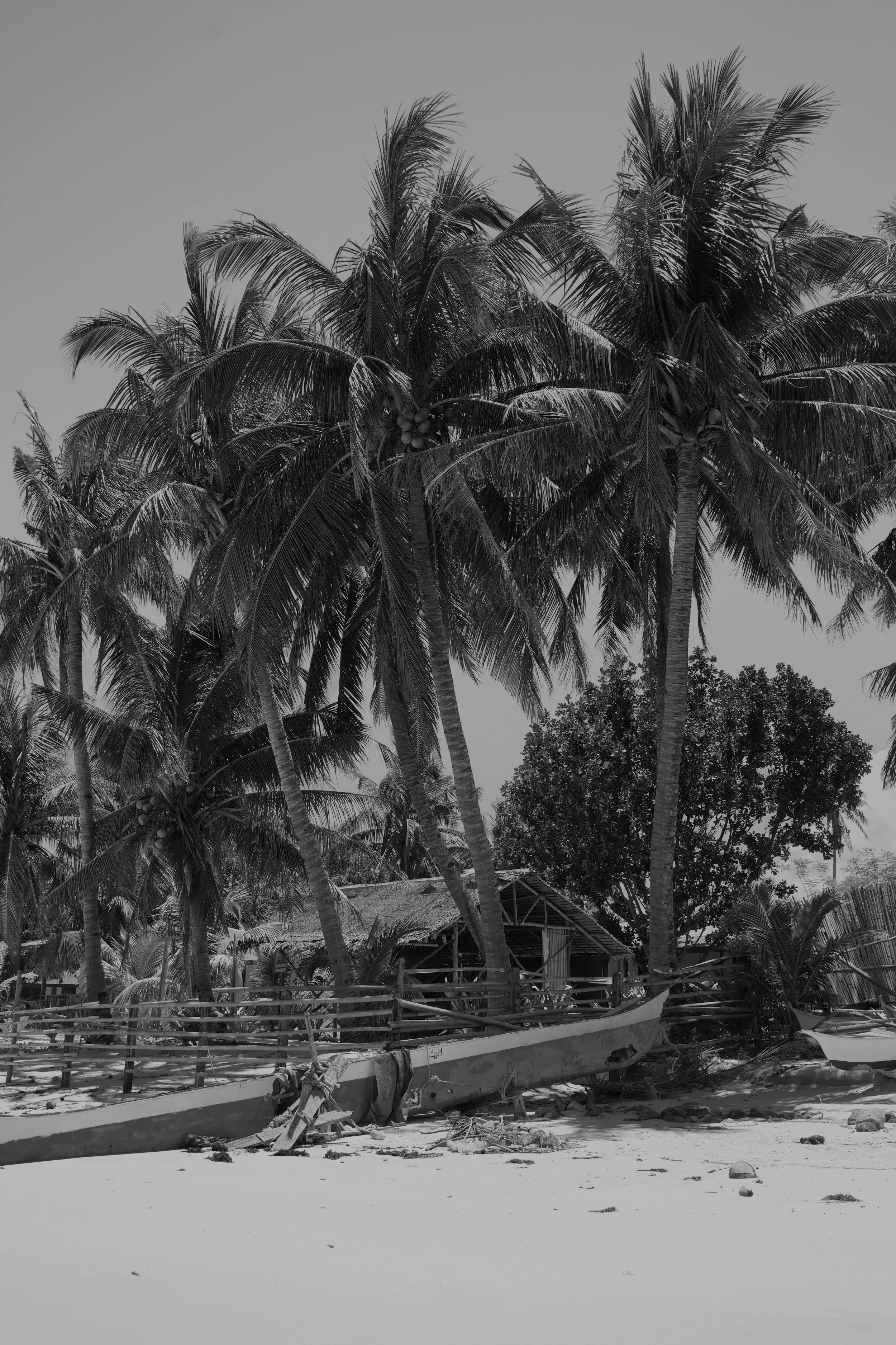 DSC04165.jpeg