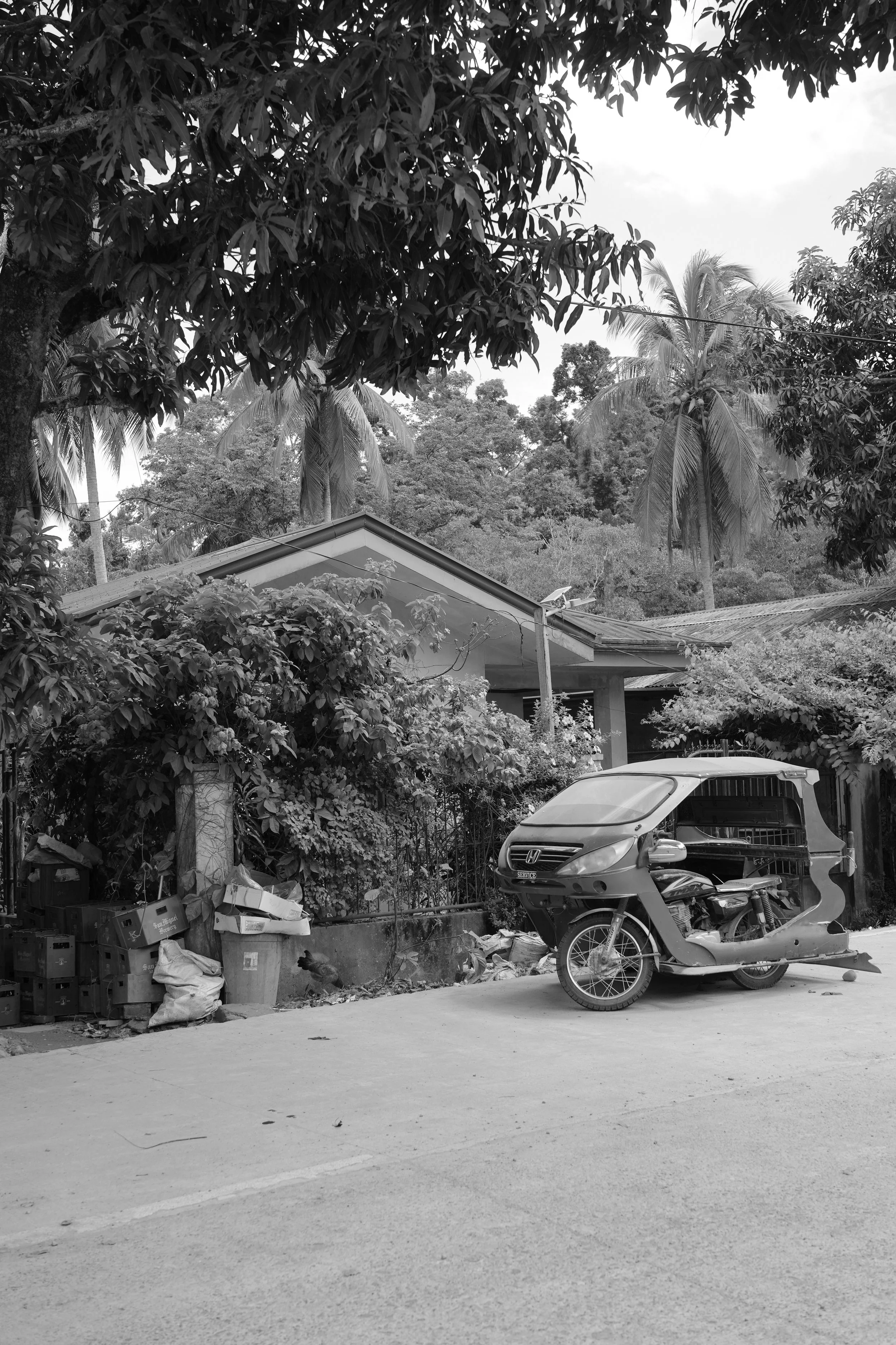 DSC03981.jpeg