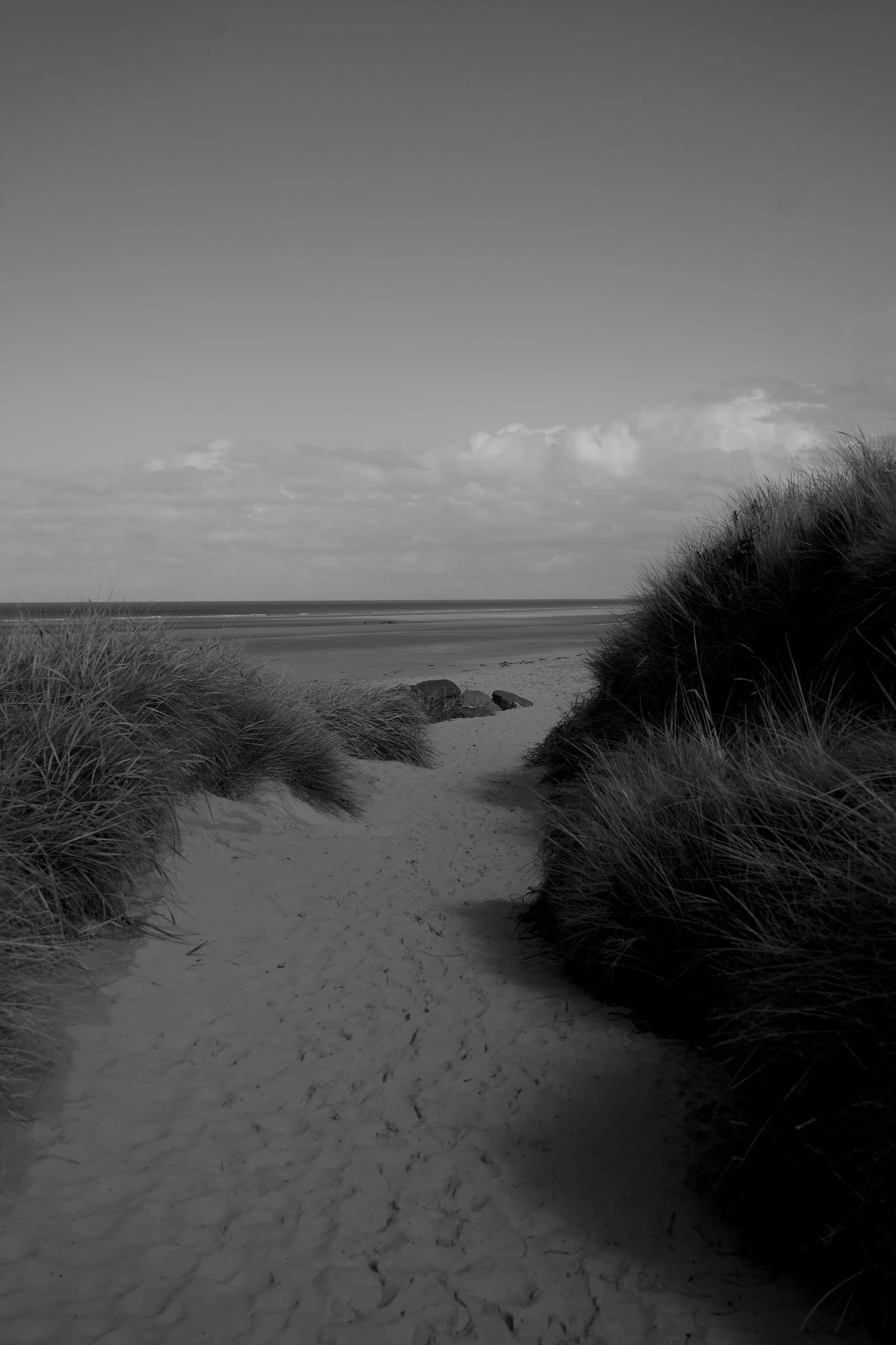 DSC04740.jpeg