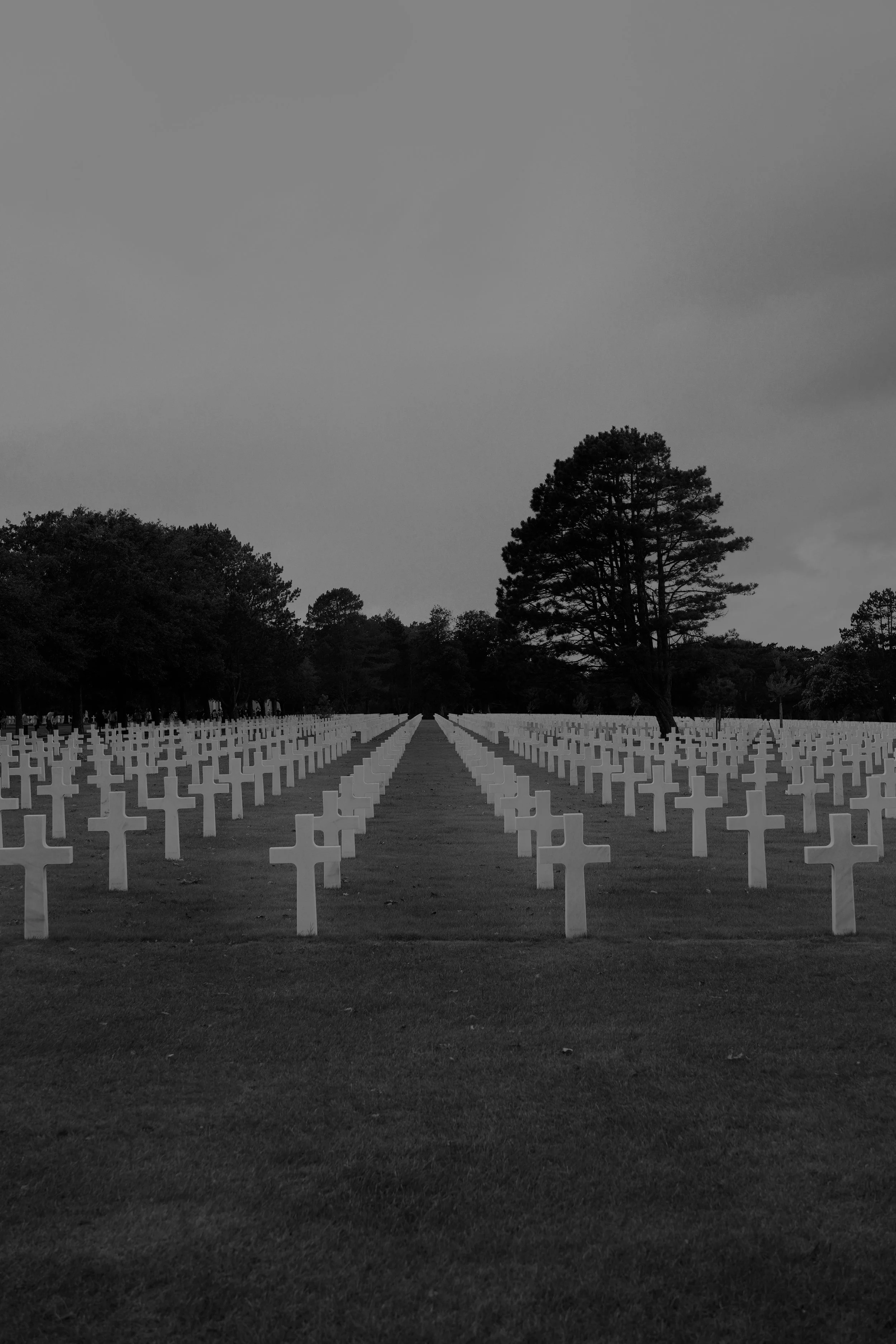 DSC04674.jpeg