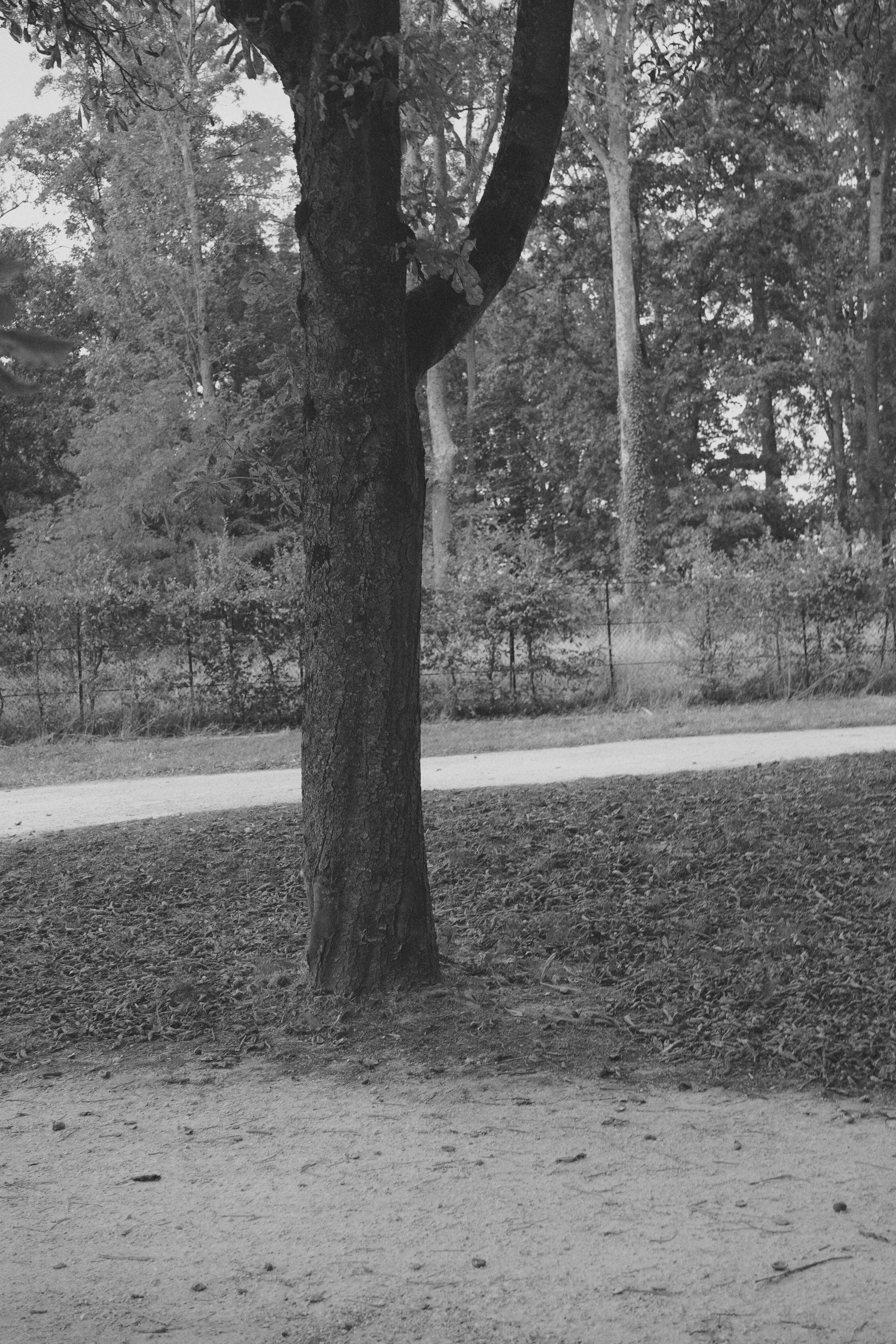 DSC04923.jpeg