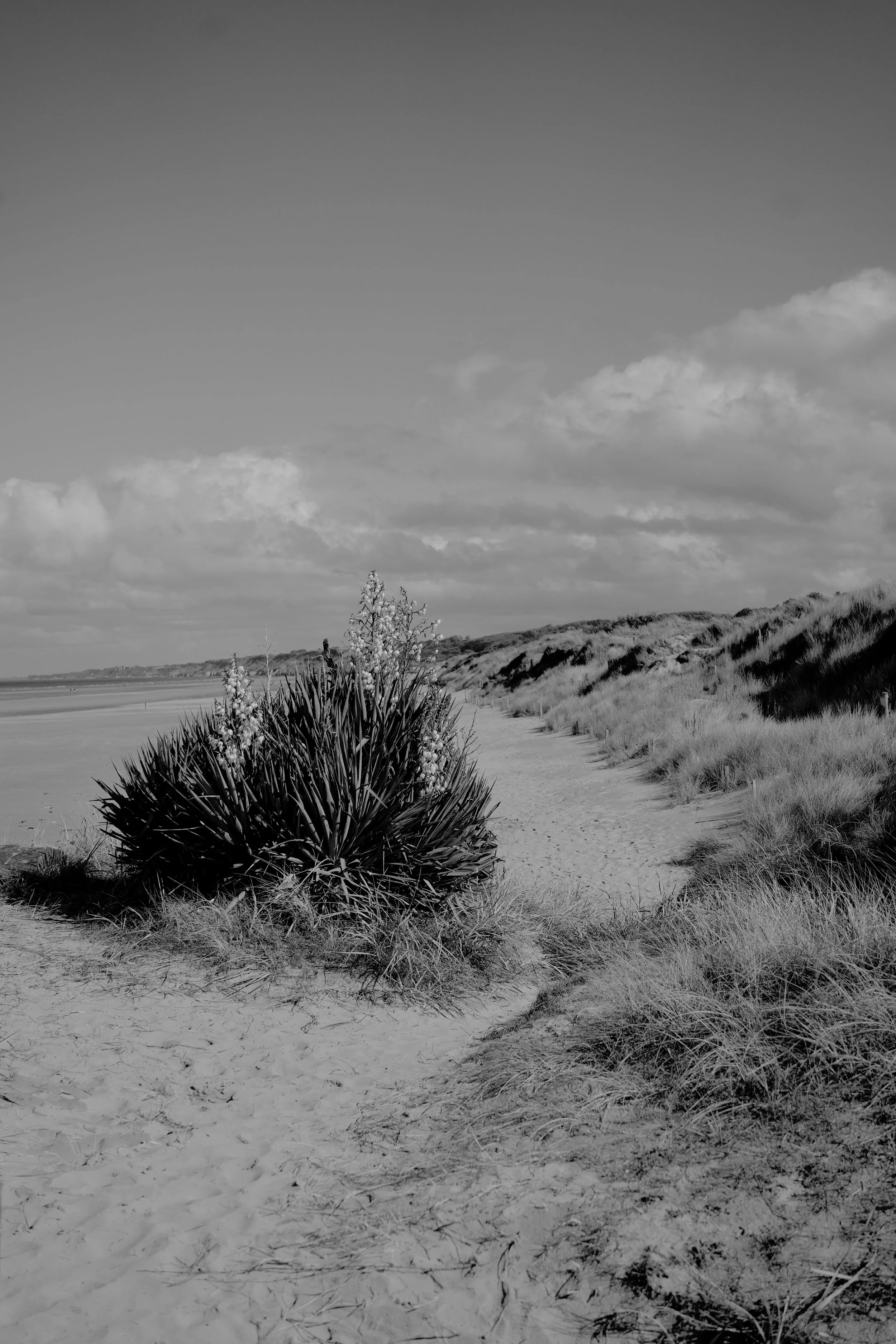 DSC04732.jpeg