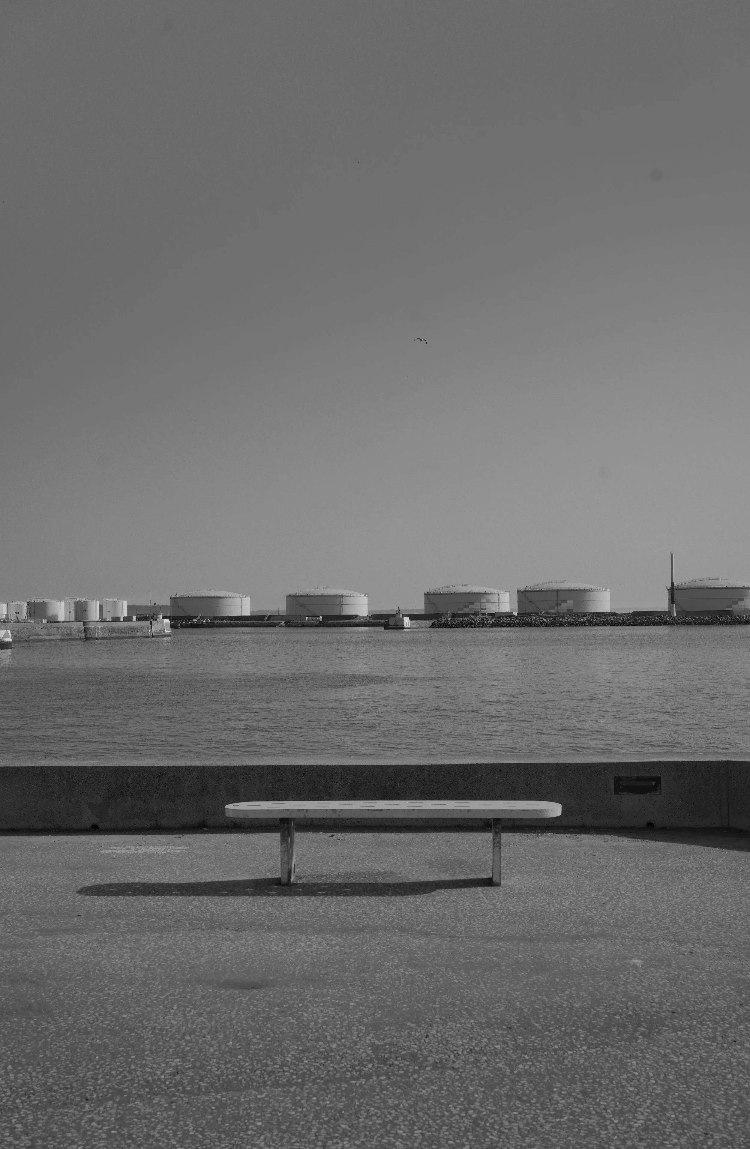 DSC03684.jpeg