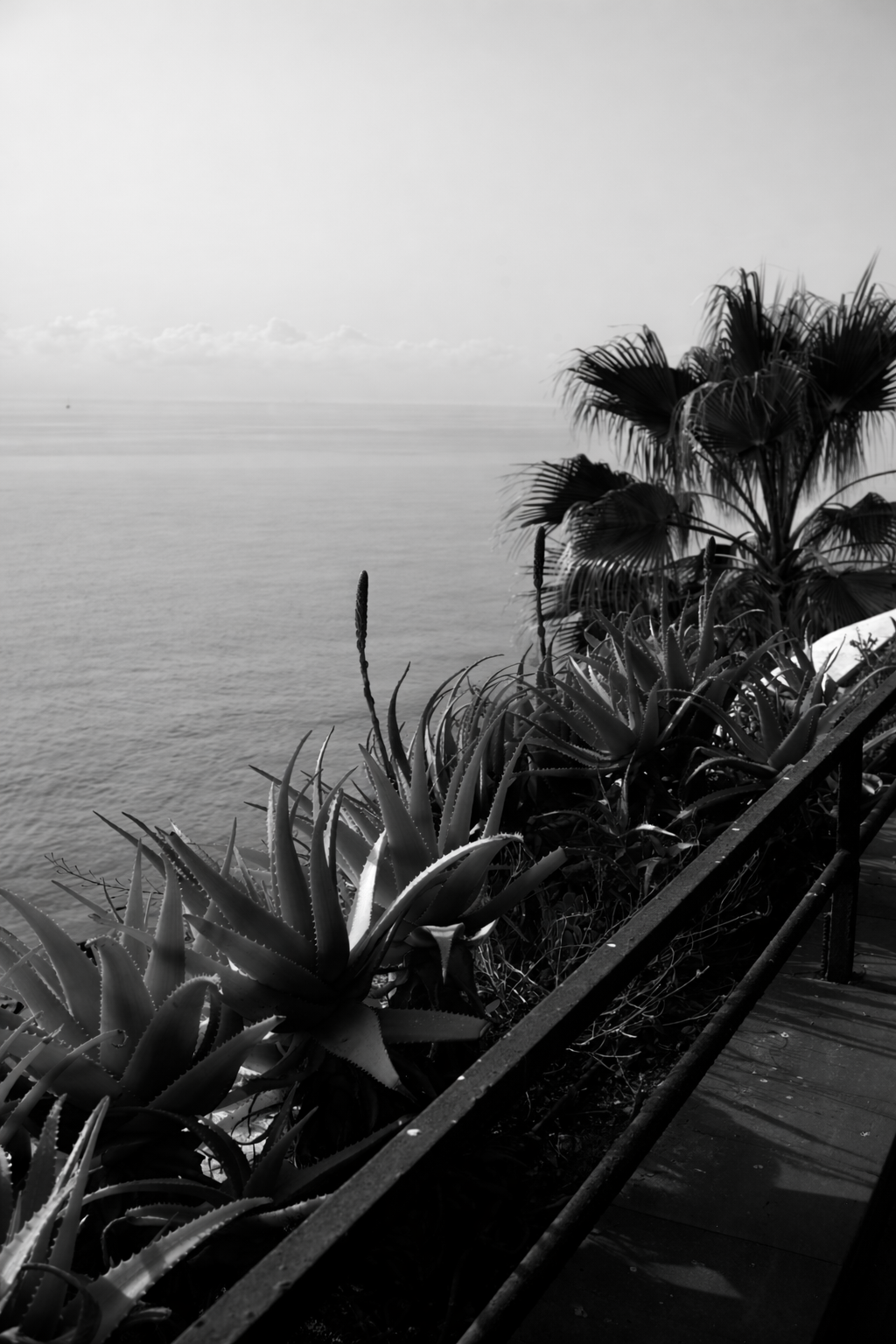 ChatGPT Image 3 mars 2026 à 05_52_41.png