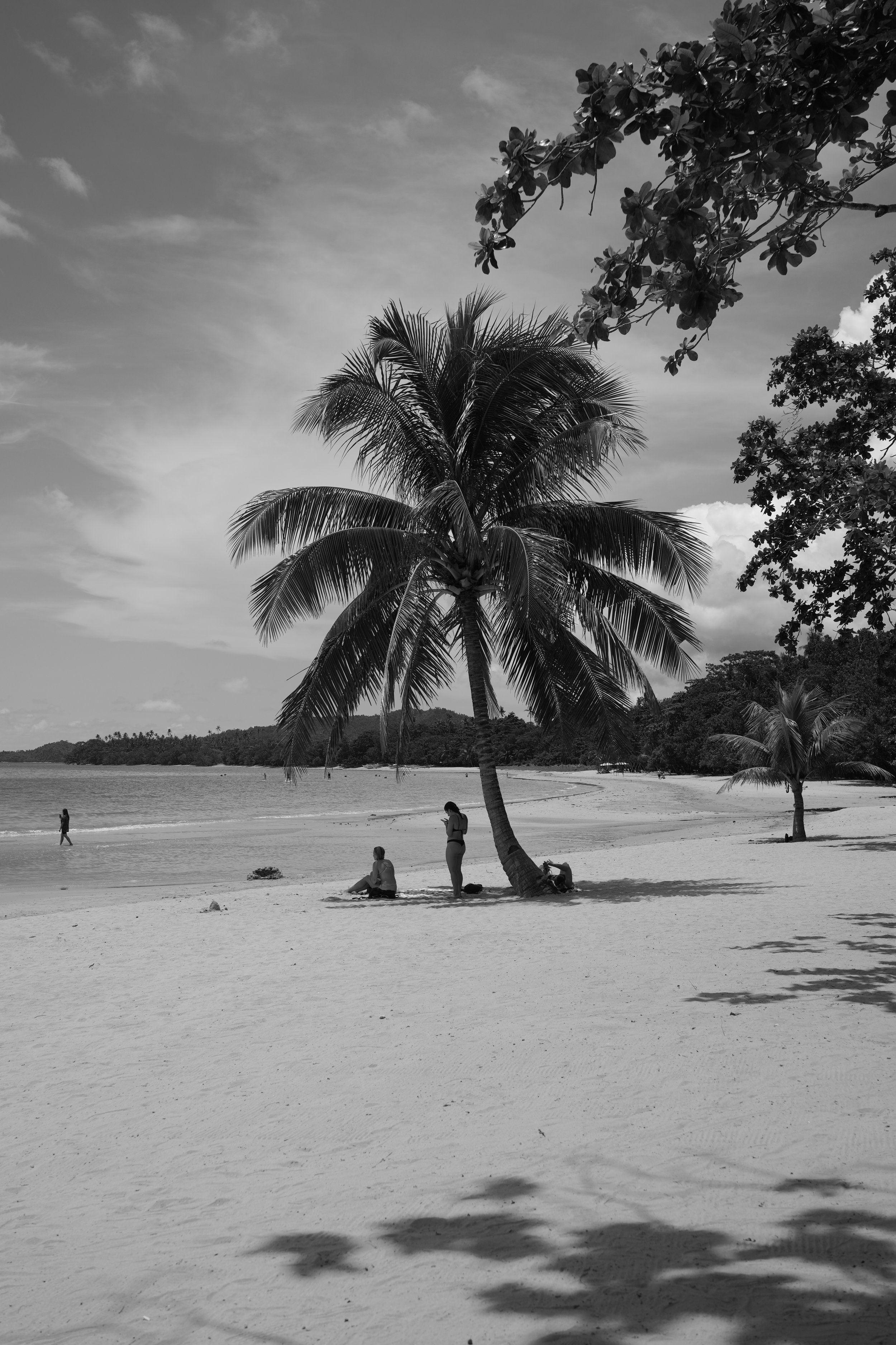 DSC04278 2.jpeg