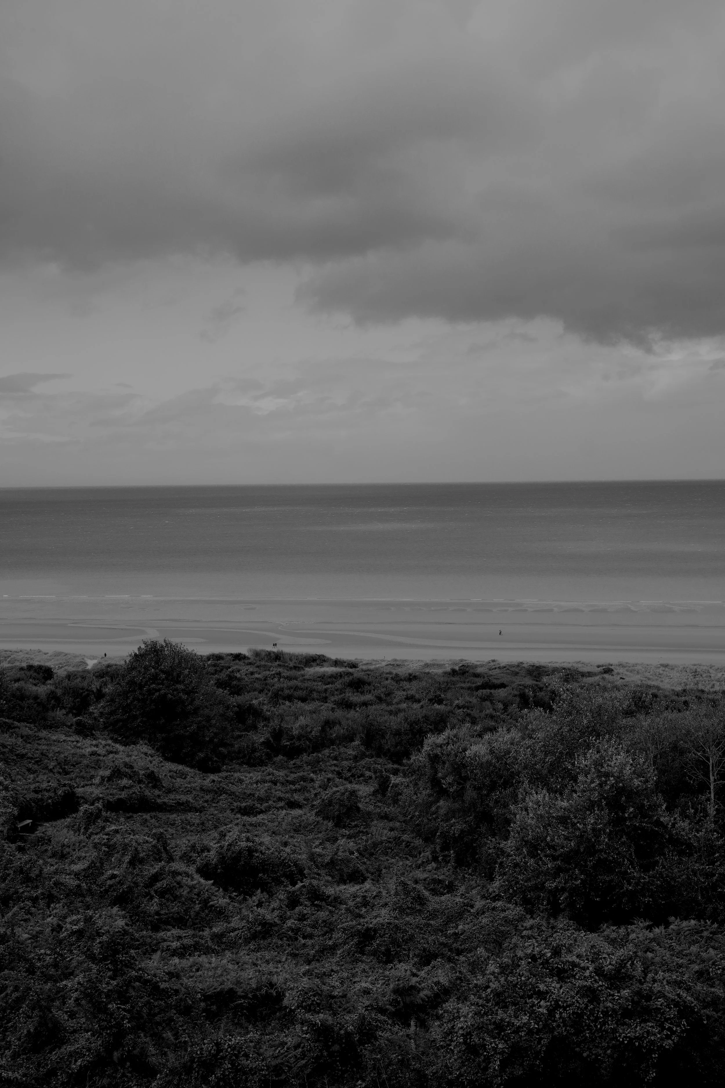 DSC04671.jpeg