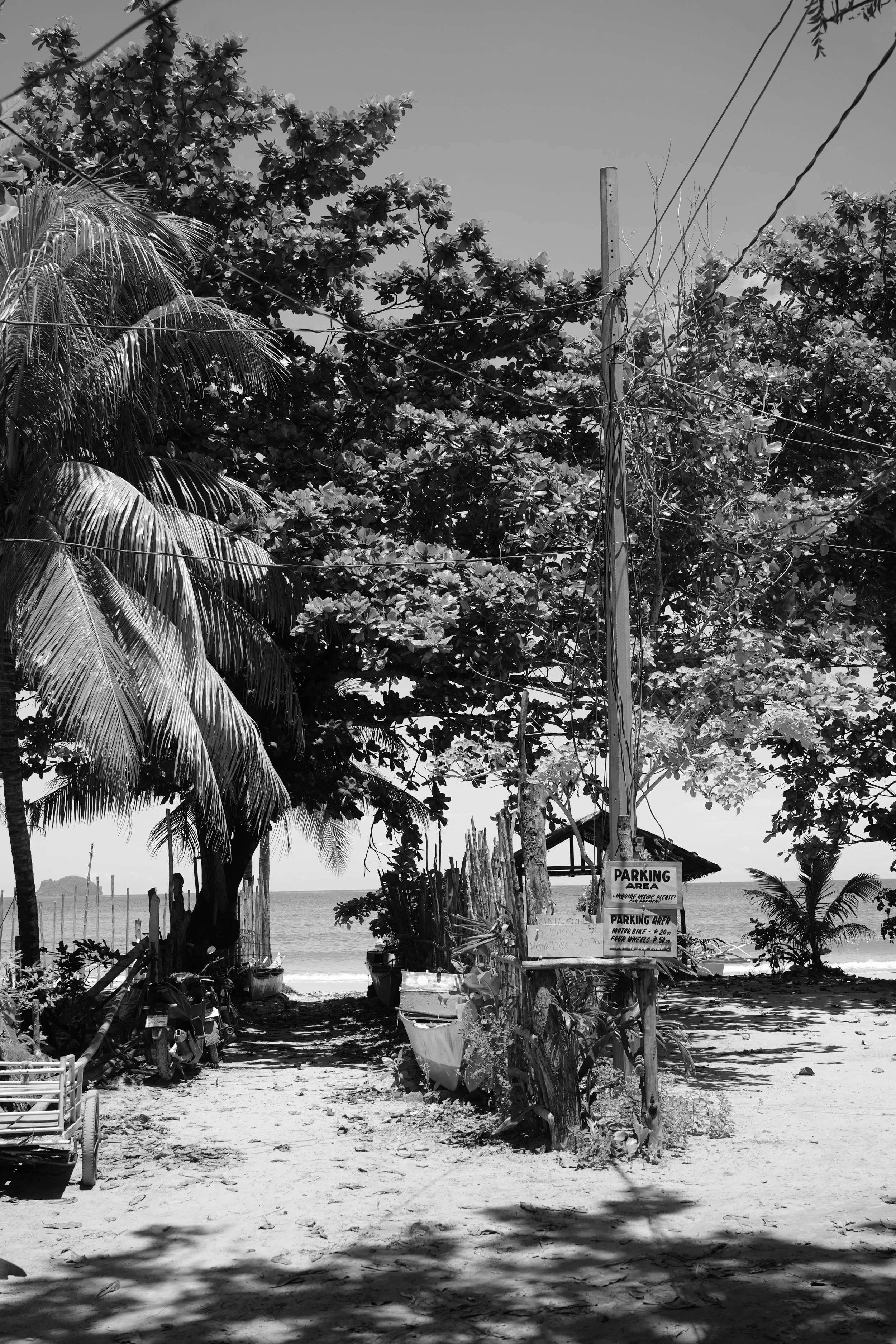 DSC04133.jpeg