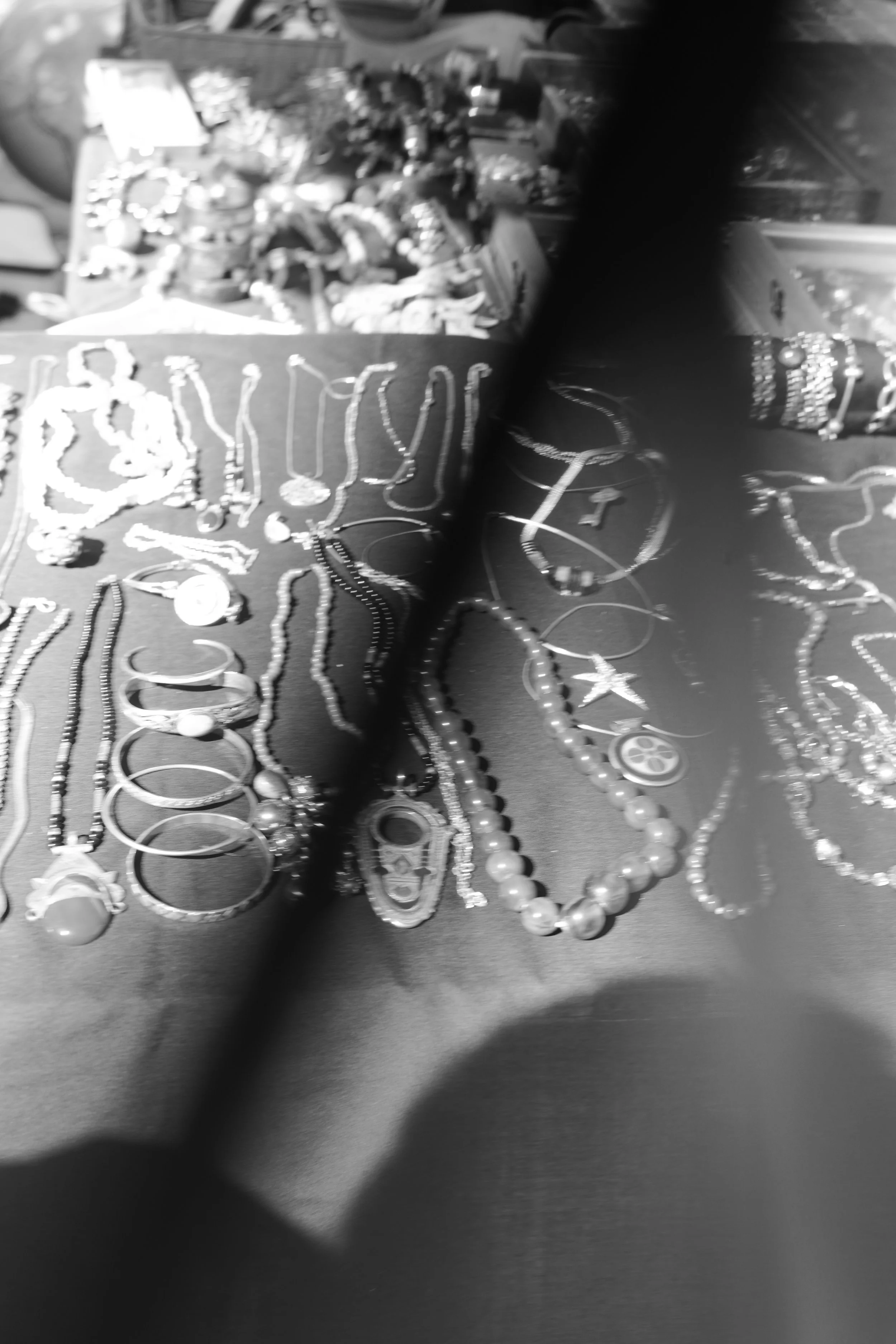 DSC04782.jpeg