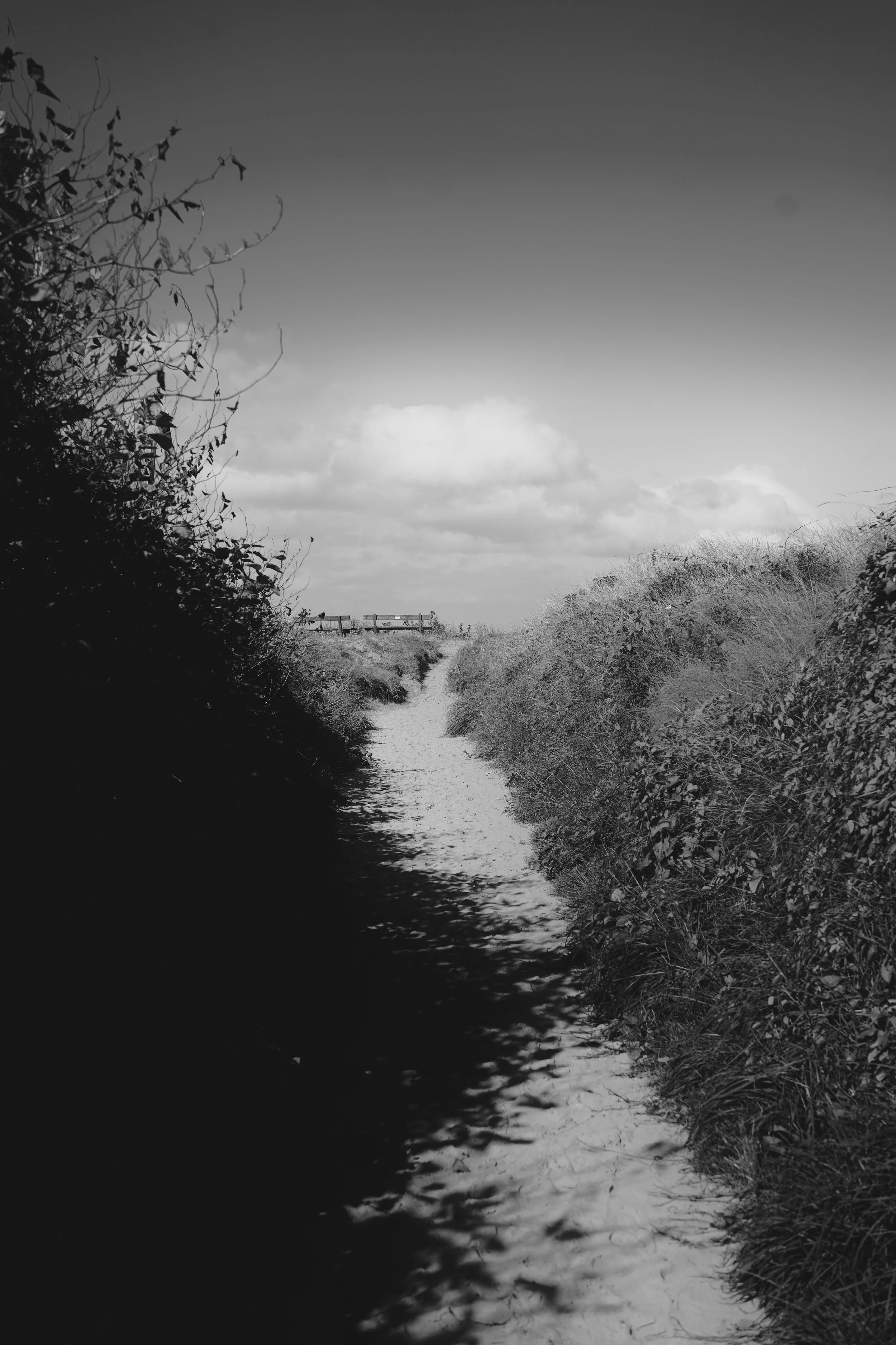 DSC04721.jpeg